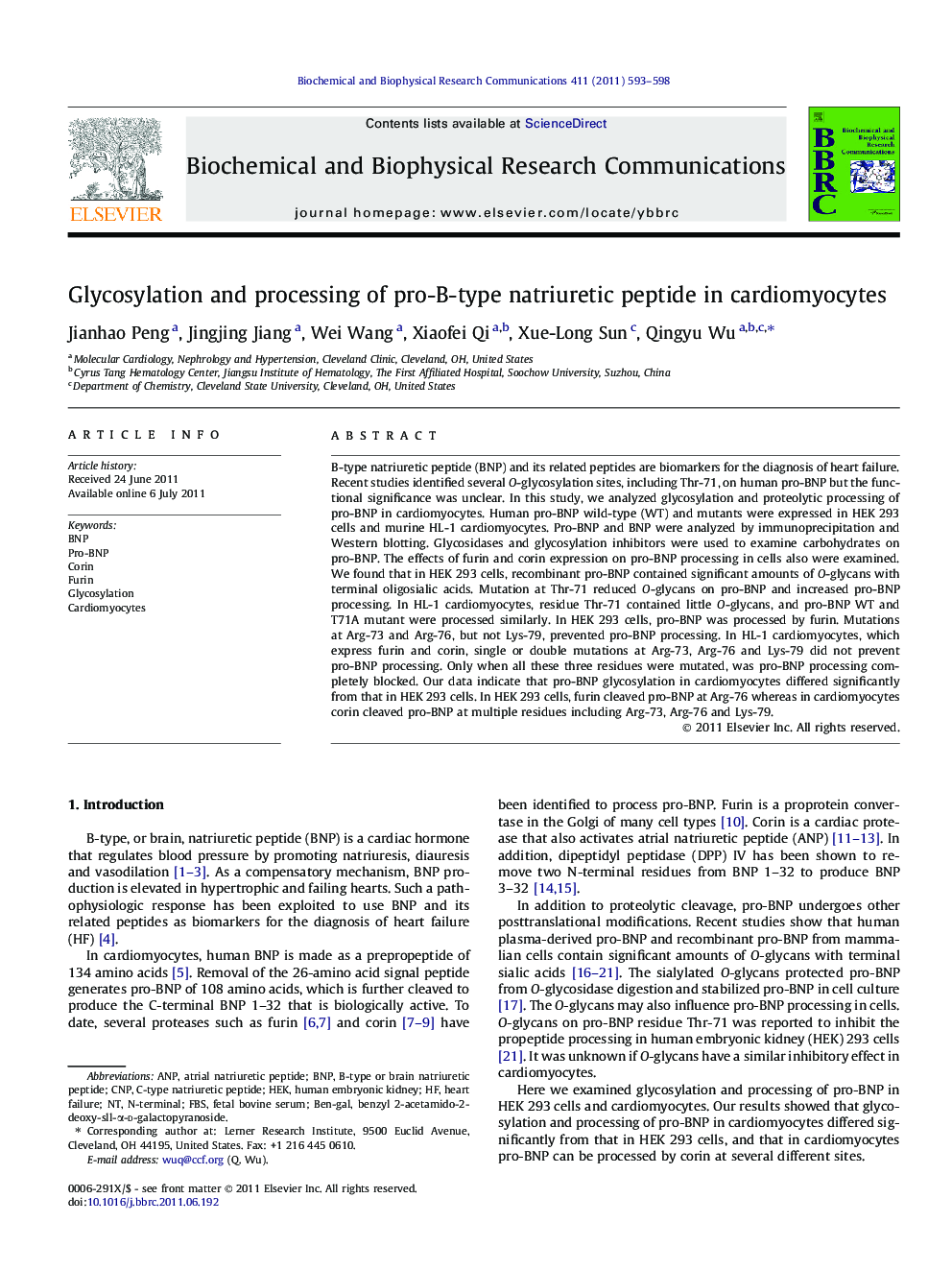 Glycosylation and processing of pro-B-type natriuretic peptide in cardiomyocytes