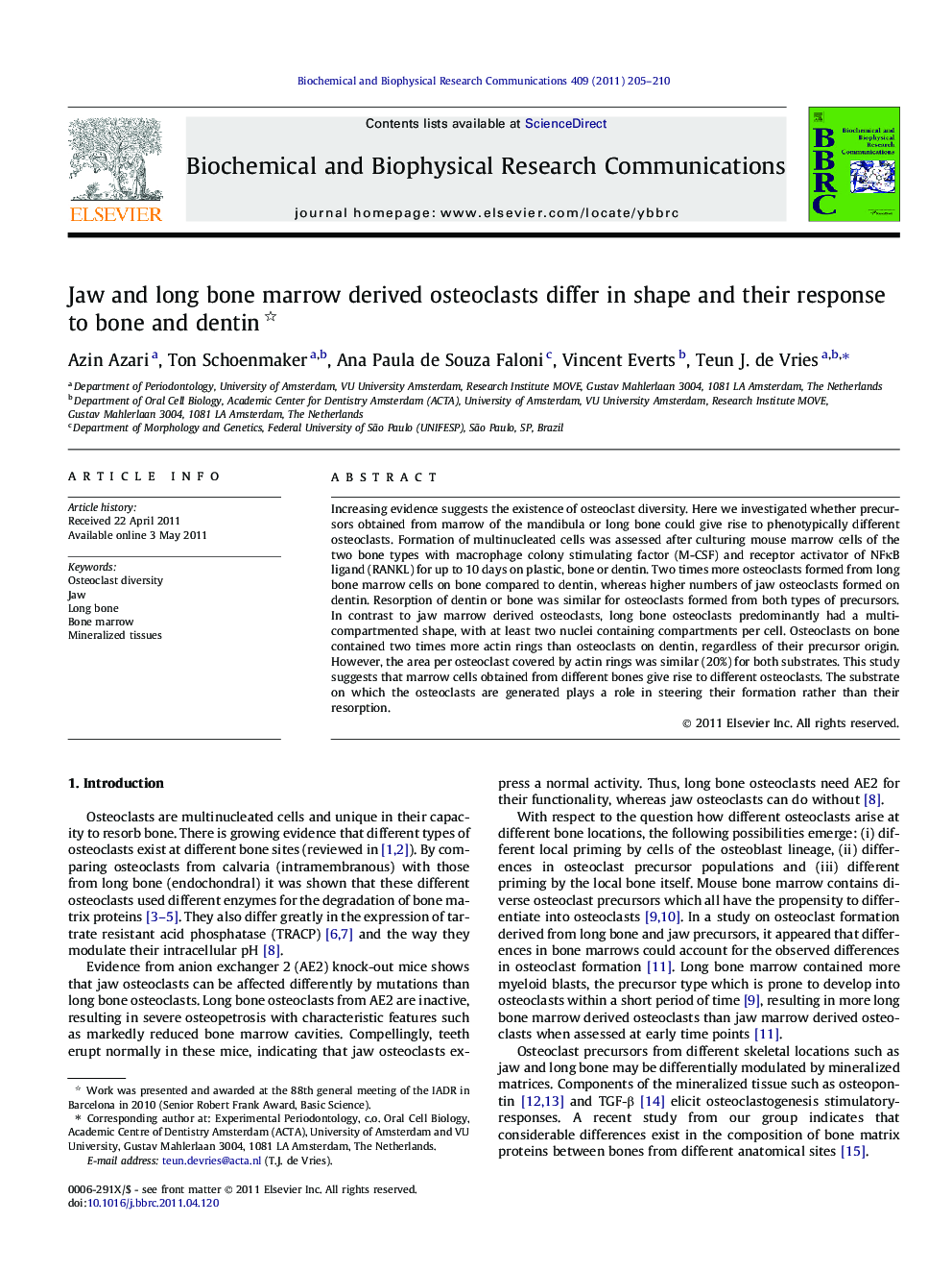 Jaw and long bone marrow derived osteoclasts differ in shape and their response to bone and dentin 