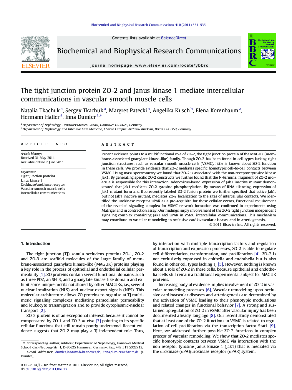 The tight junction protein ZO-2 and Janus kinase 1 mediate intercellular communications in vascular smooth muscle cells