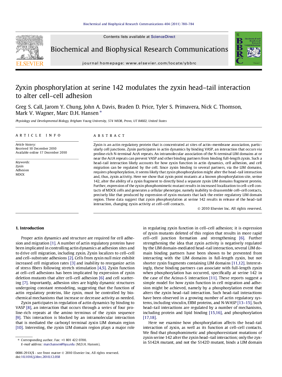 Zyxin phosphorylation at serine 142 modulates the zyxin head–tail interaction to alter cell–cell adhesion