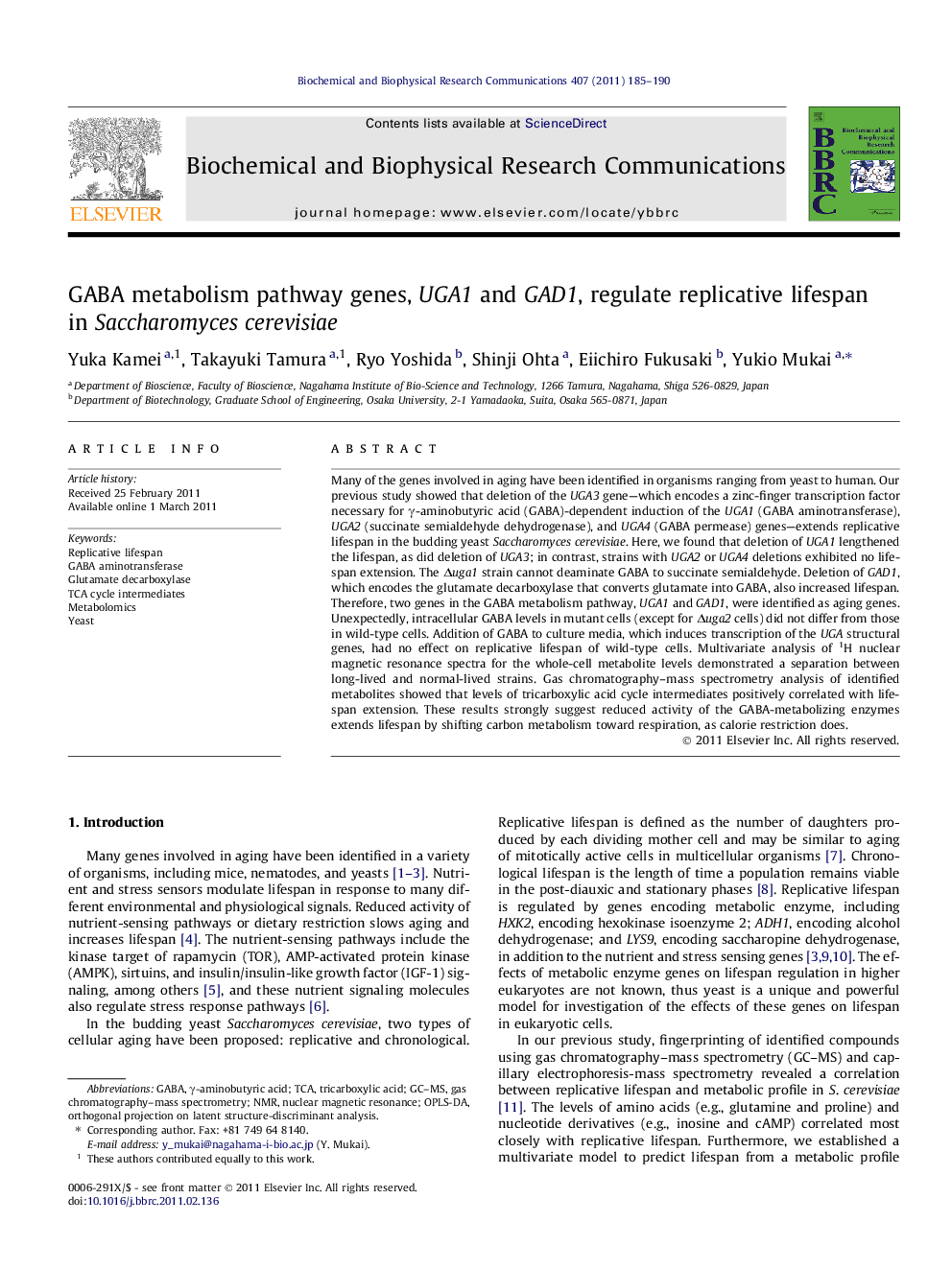 GABA metabolism pathway genes, UGA1 and GAD1, regulate replicative lifespan in Saccharomycescerevisiae