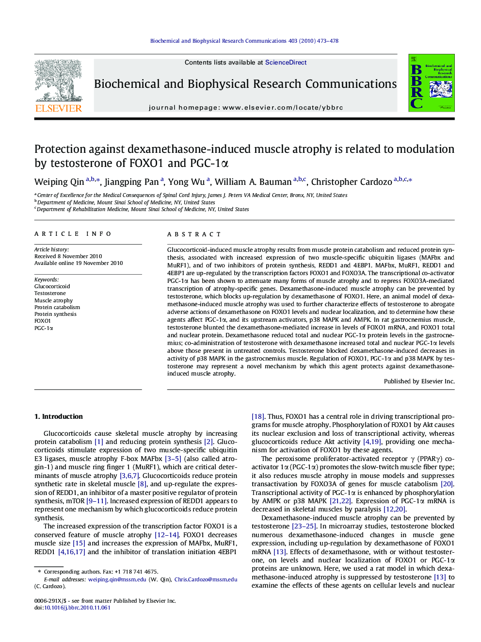 Protection against dexamethasone-induced muscle atrophy is related to modulation by testosterone of FOXO1 and PGC-1α