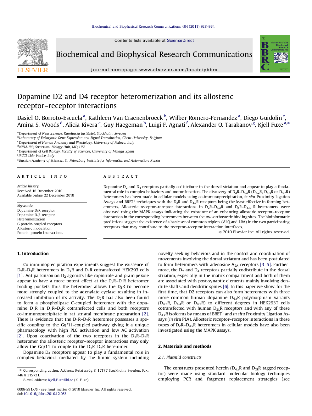 Dopamine D2 and D4 receptor heteromerization and its allosteric receptor–receptor interactions