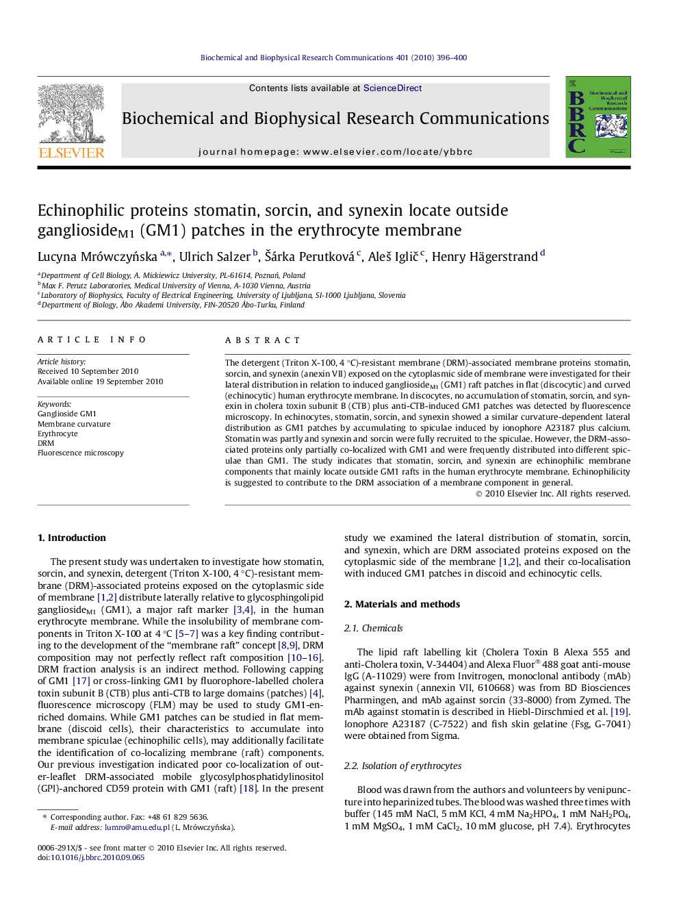 Echinophilic proteins stomatin, sorcin, and synexin locate outside gangliosideM1 (GM1) patches in the erythrocyte membrane