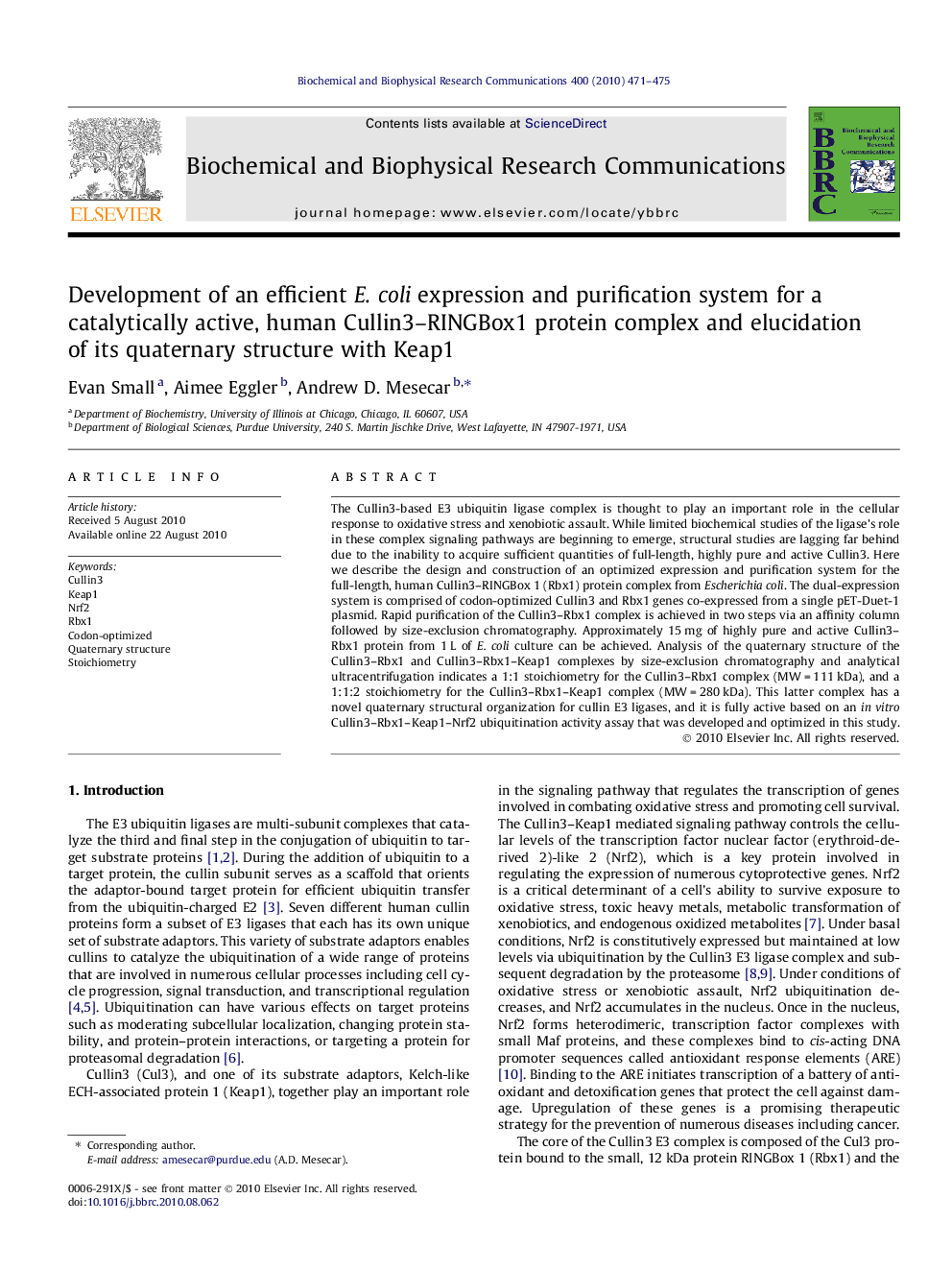 Development of an efficient E. coli expression and purification system for a catalytically active, human Cullin3–RINGBox1 protein complex and elucidation of its quaternary structure with Keap1