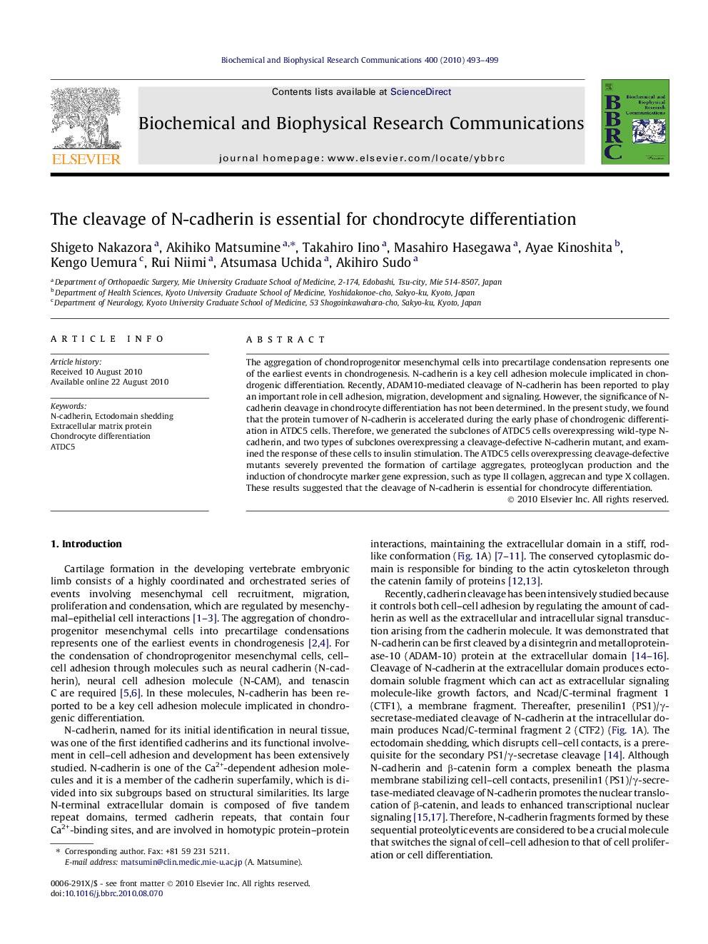 The cleavage of N-cadherin is essential for chondrocyte differentiation
