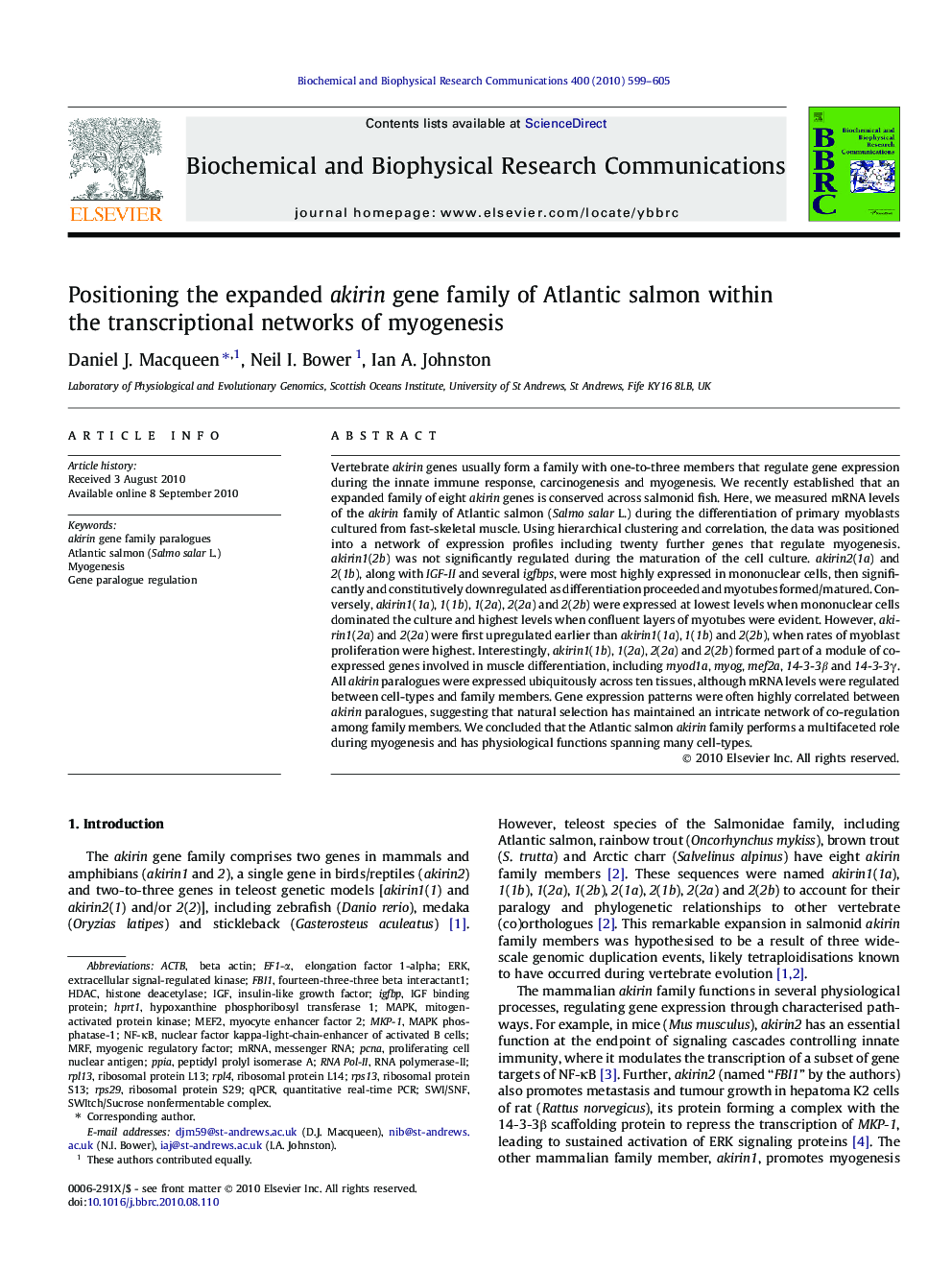 Positioning the expanded akirin gene family of Atlantic salmon within the transcriptional networks of myogenesis