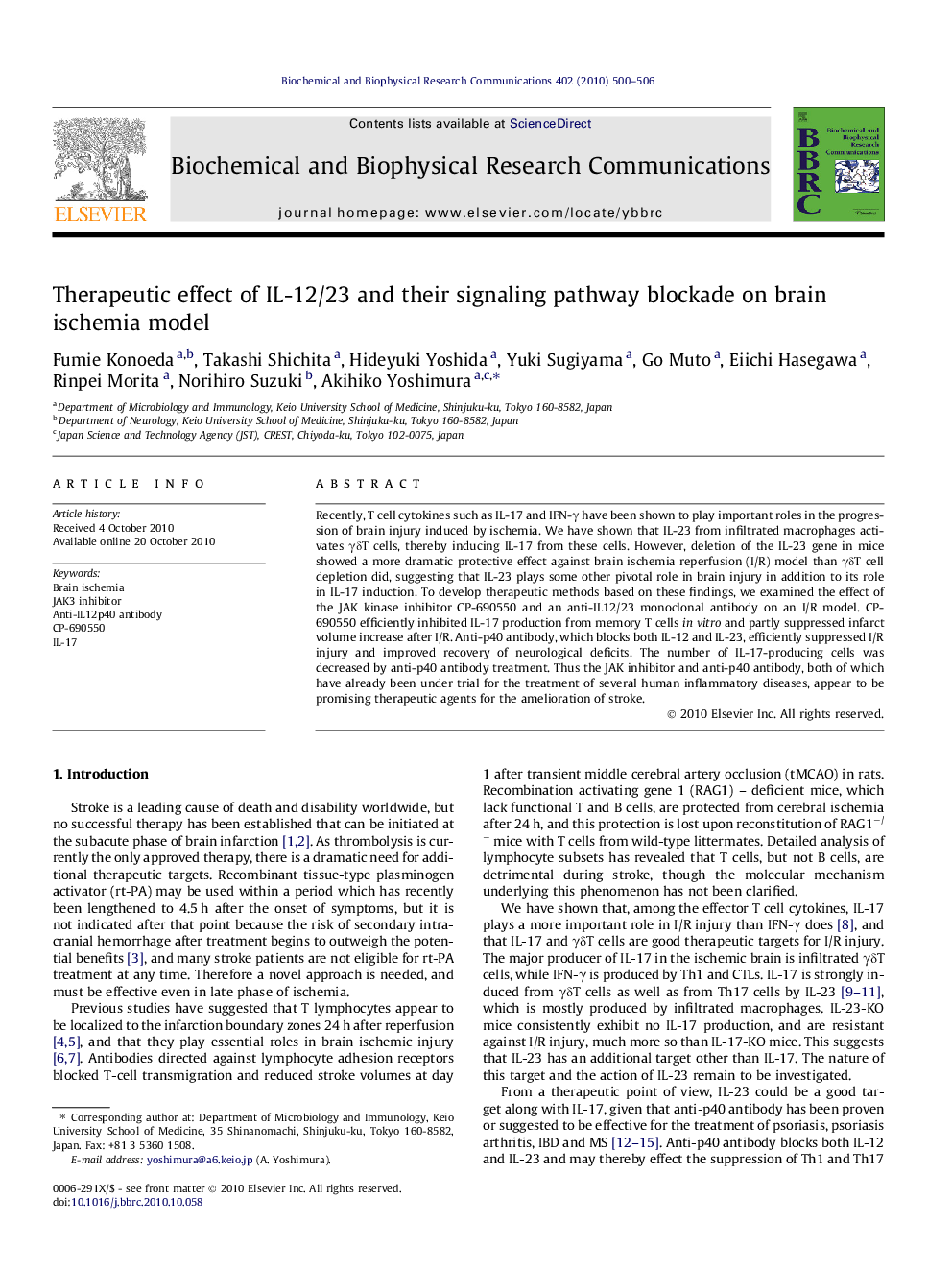 Therapeutic effect of IL-12/23 and their signaling pathway blockade on brain ischemia model