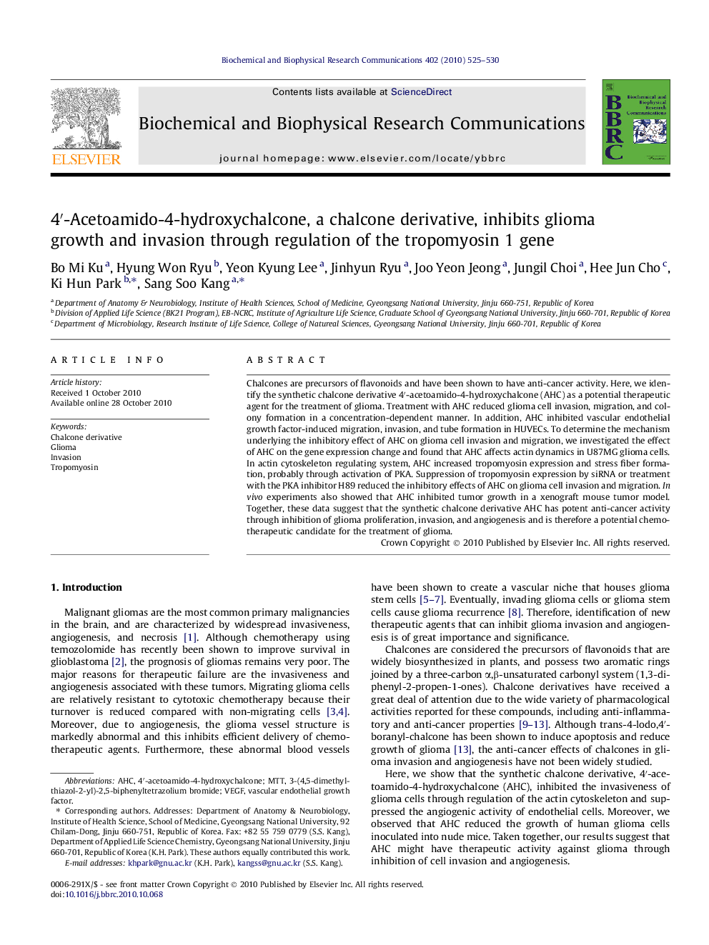 4′-Acetoamido-4-hydroxychalcone, a chalcone derivative, inhibits glioma growth and invasion through regulation of the tropomyosin 1 gene