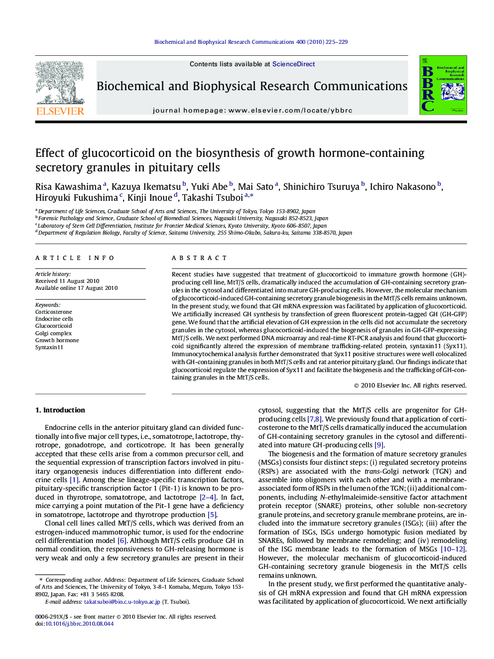 Effect of glucocorticoid on the biosynthesis of growth hormone-containing secretory granules in pituitary cells