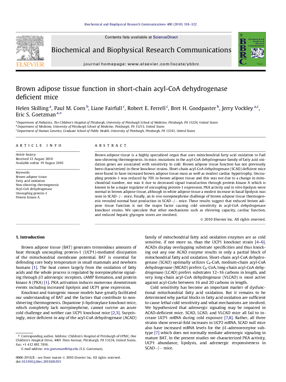 Brown adipose tissue function in short-chain acyl-CoA dehydrogenase deficient mice