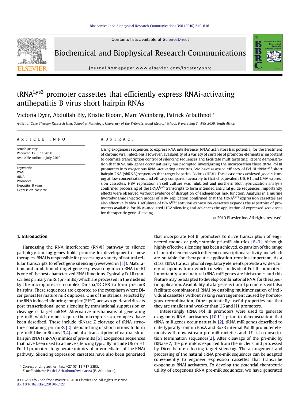 tRNALys3 promoter cassettes that efficiently express RNAi-activating antihepatitis B virus short hairpin RNAs