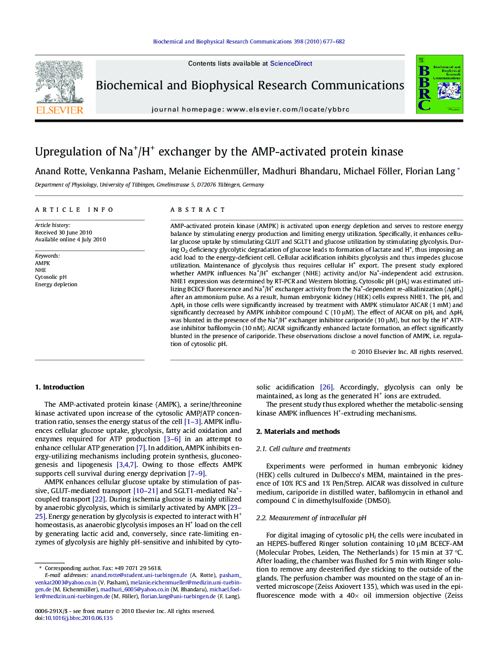 Upregulation of Na+/H+ exchanger by the AMP-activated protein kinase