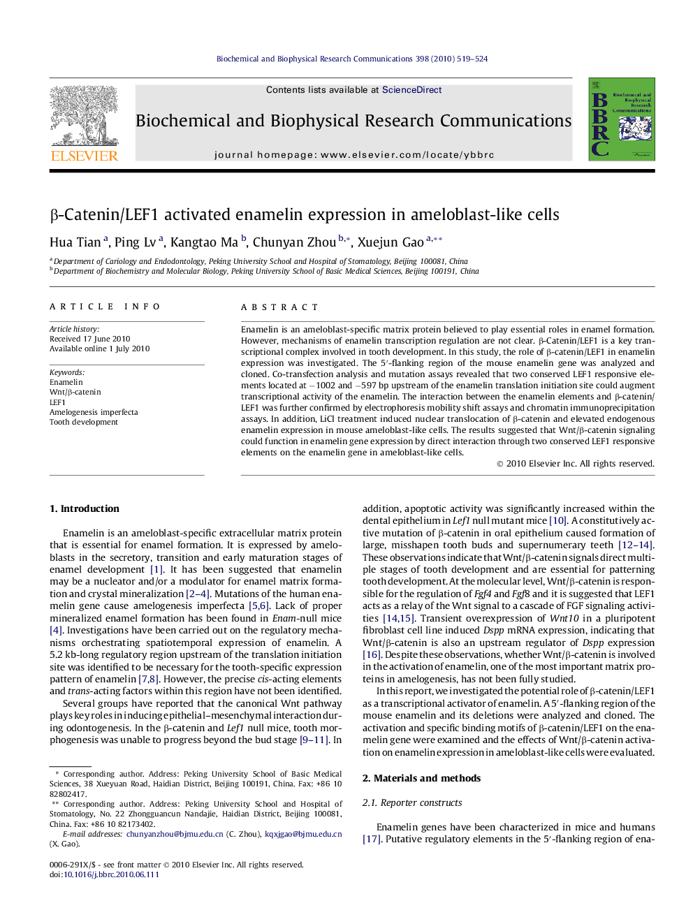 β-Catenin/LEF1 activated enamelin expression in ameloblast-like cells