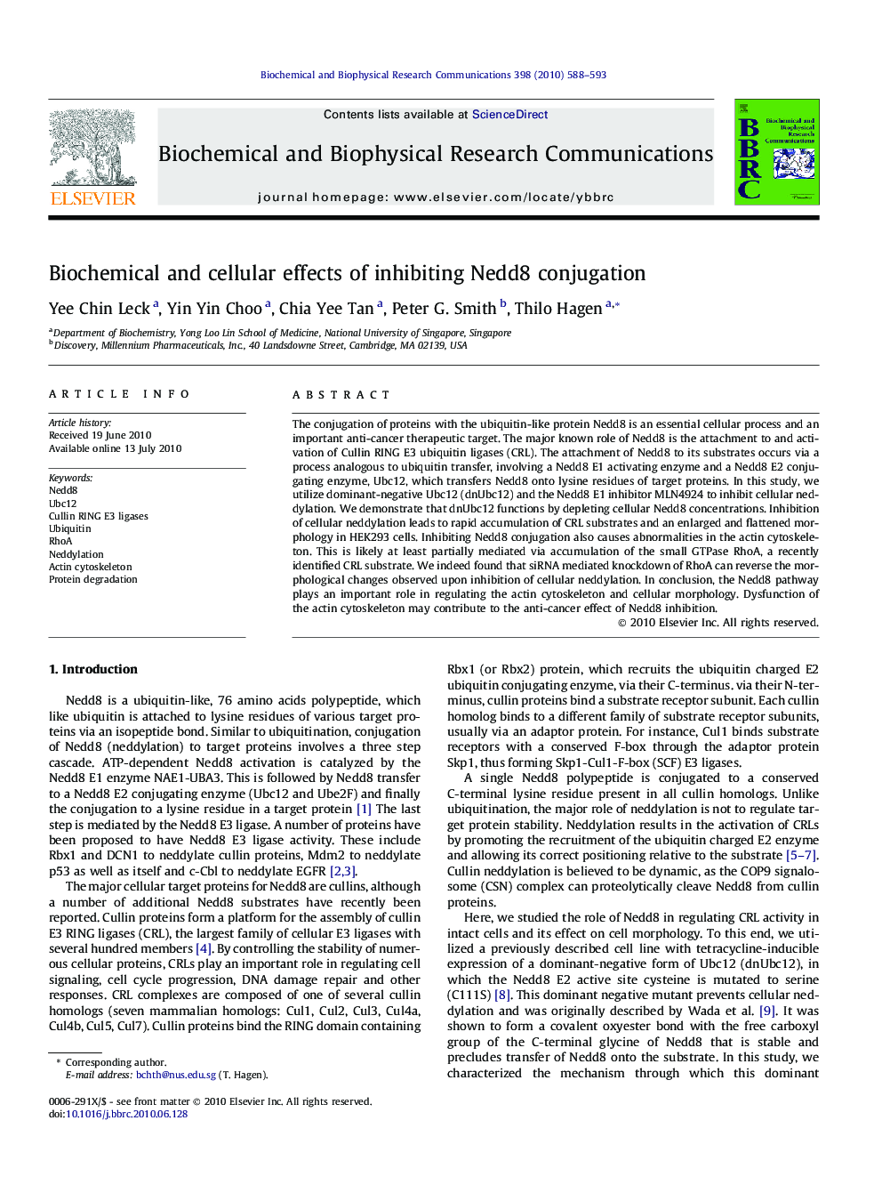 Biochemical and cellular effects of inhibiting Nedd8 conjugation