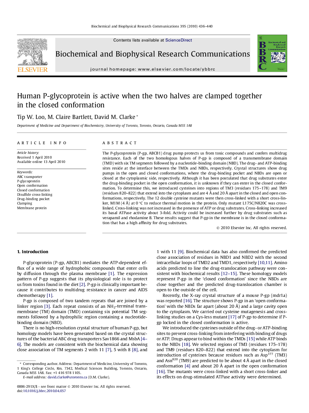 Human P-glycoprotein is active when the two halves are clamped together in the closed conformation