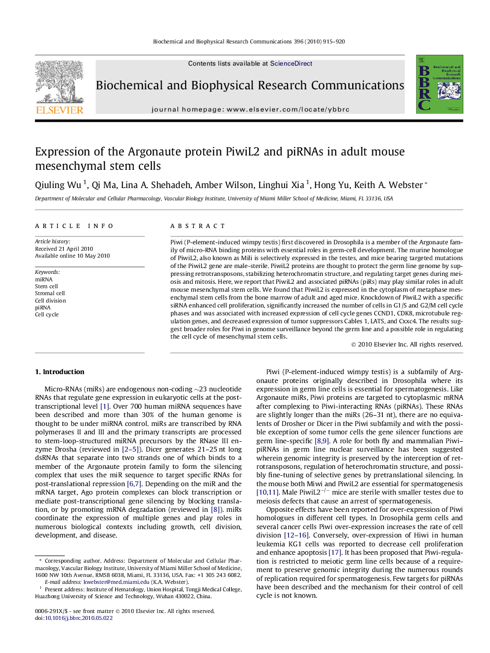 Expression of the Argonaute protein PiwiL2 and piRNAs in adult mouse mesenchymal stem cells