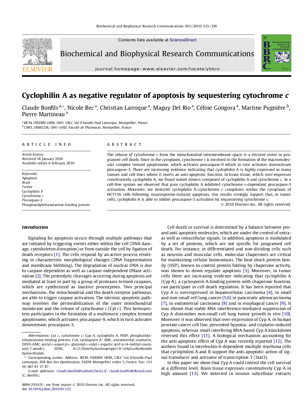 Cyclophilin A as negative regulator of apoptosis by sequestering cytochrome c