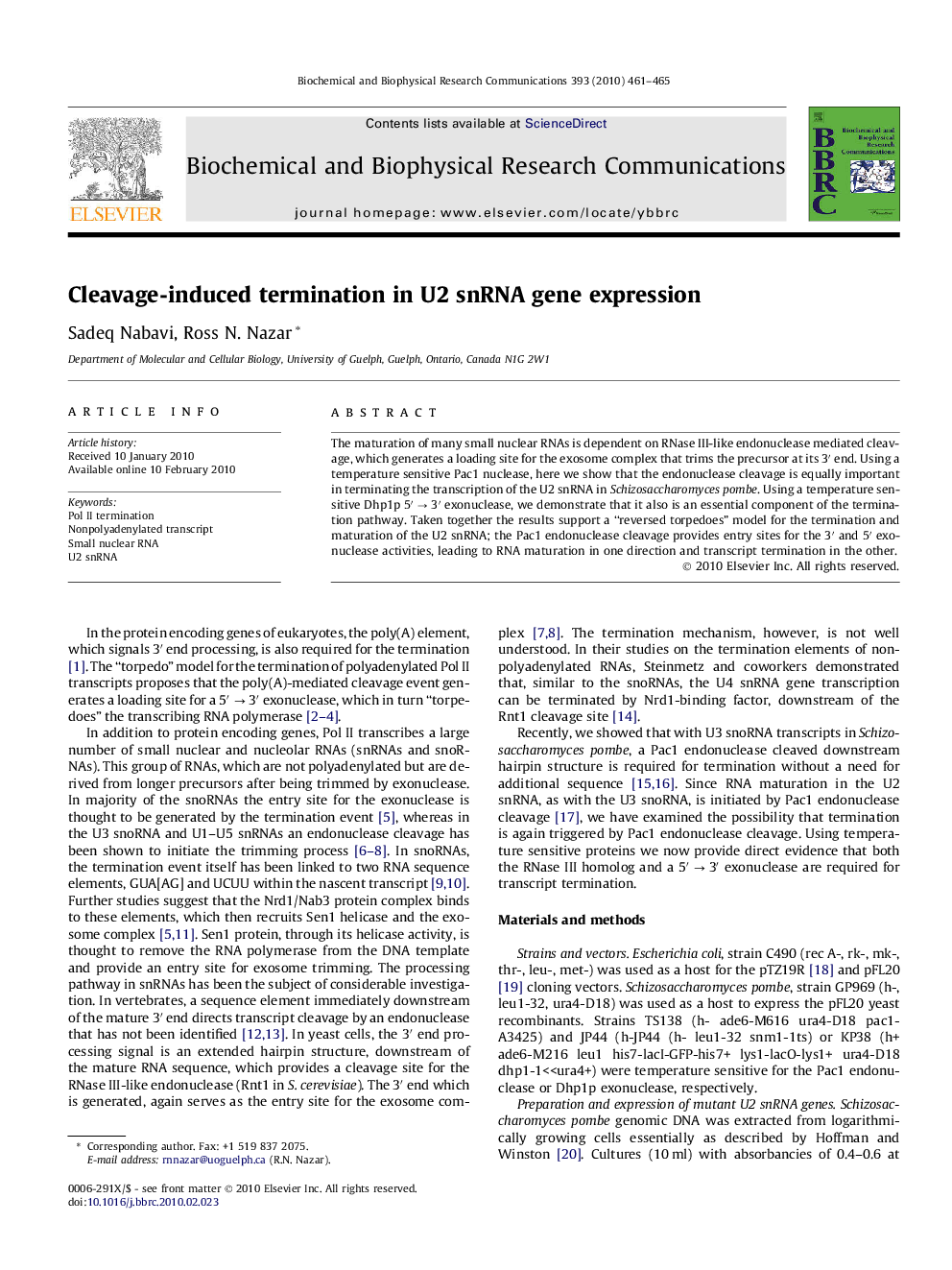 Cleavage-induced termination in U2 snRNA gene expression