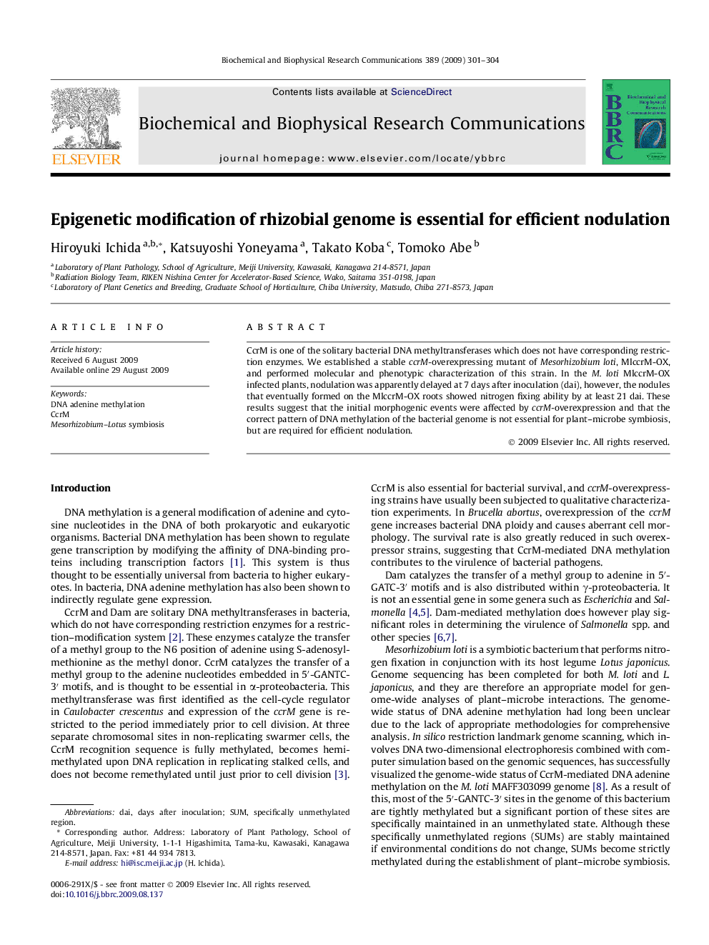 Epigenetic modification of rhizobial genome is essential for efficient nodulation