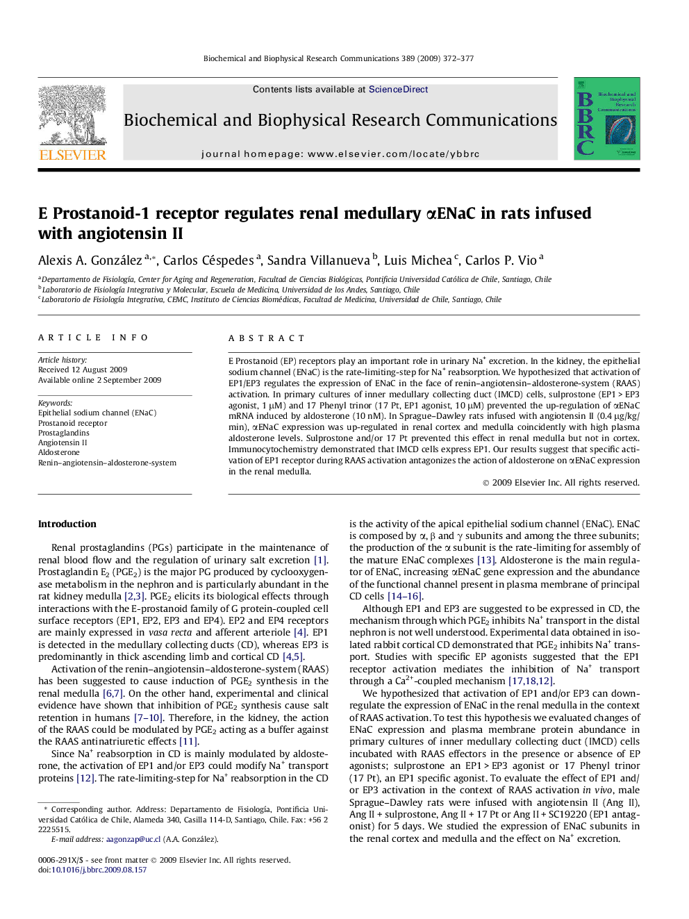 E Prostanoid-1 receptor regulates renal medullary αENaC in rats infused with angiotensin II