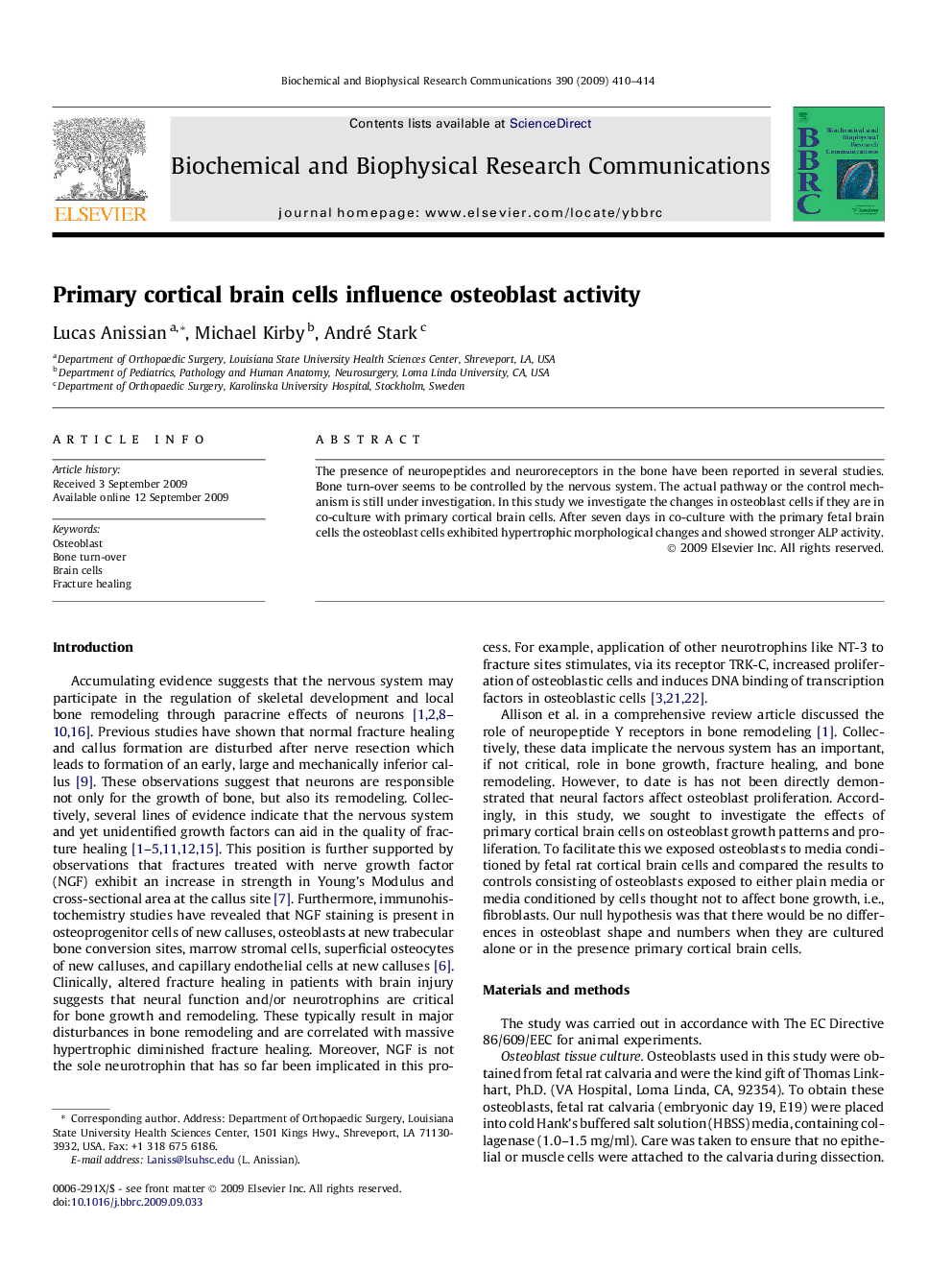 Primary cortical brain cells influence osteoblast activity