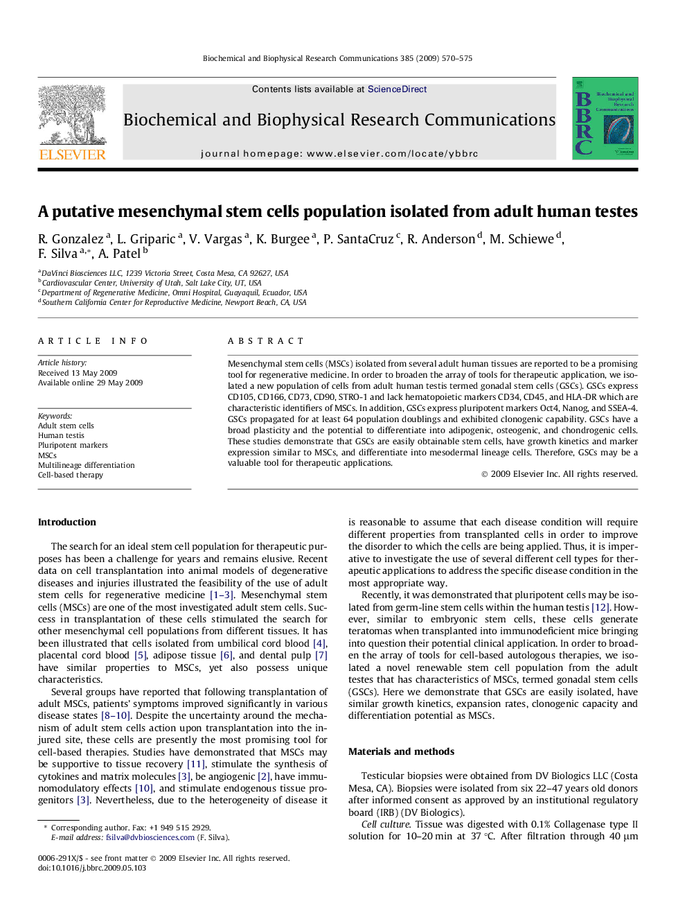 A putative mesenchymal stem cells population isolated from adult human testes