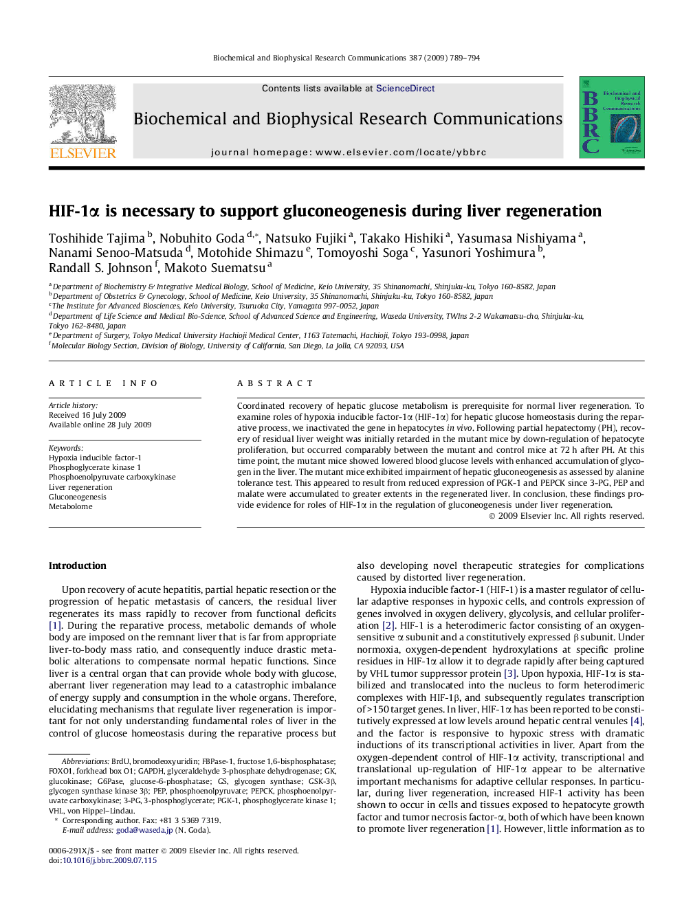 HIF-1α is necessary to support gluconeogenesis during liver regeneration