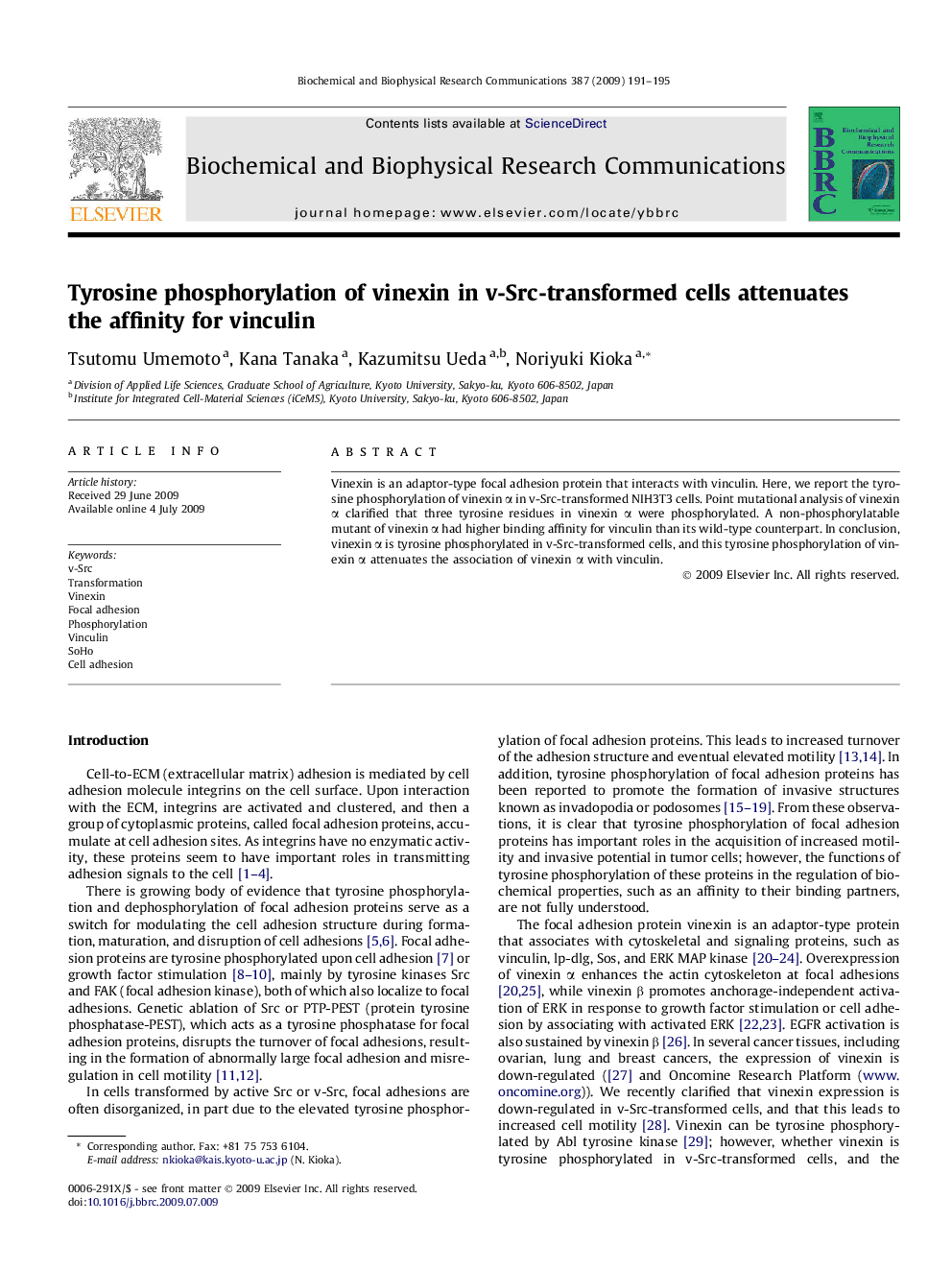 Tyrosine phosphorylation of vinexin in v-Src-transformed cells attenuates the affinity for vinculin