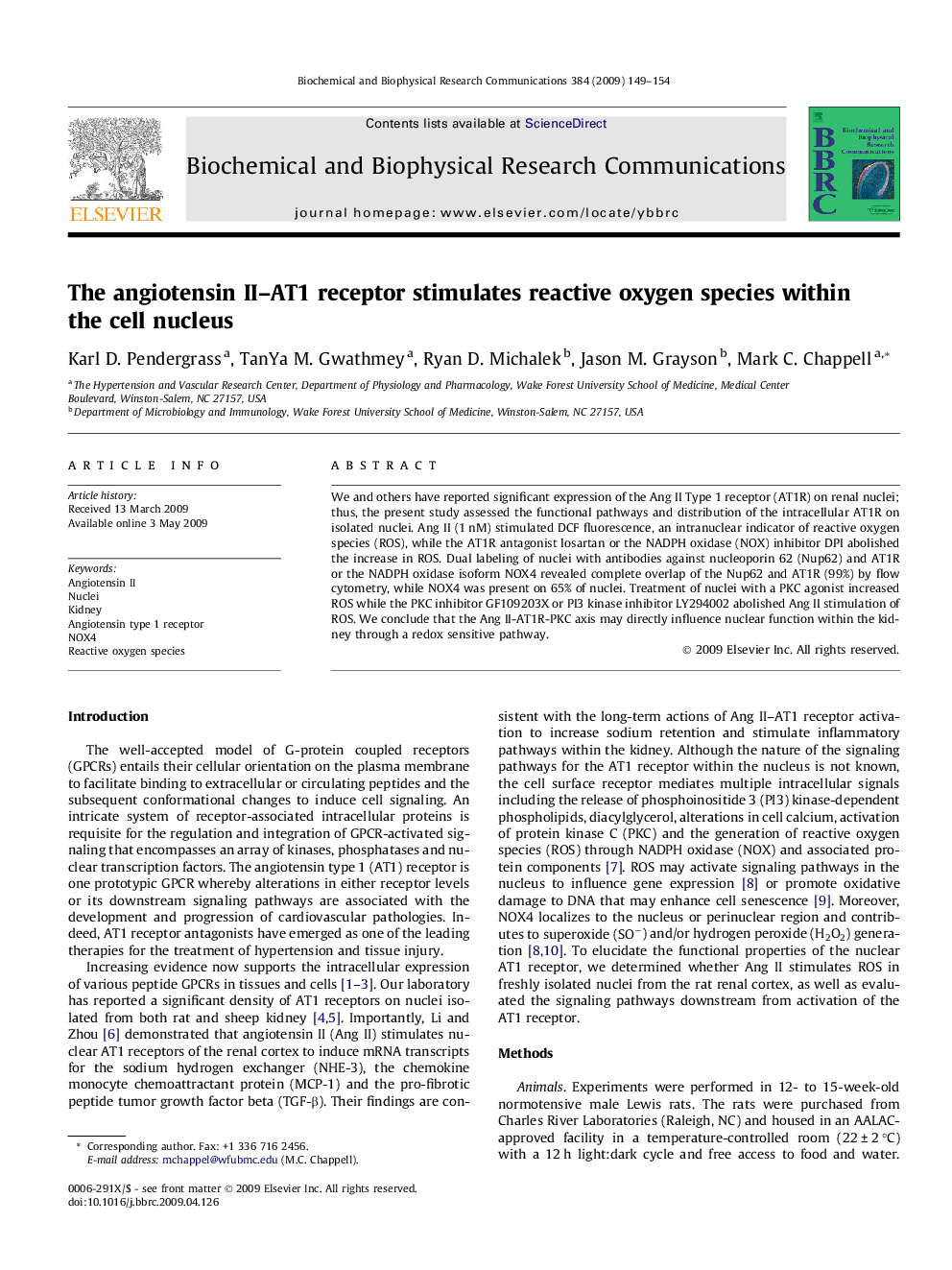 The angiotensin II–AT1 receptor stimulates reactive oxygen species within the cell nucleus