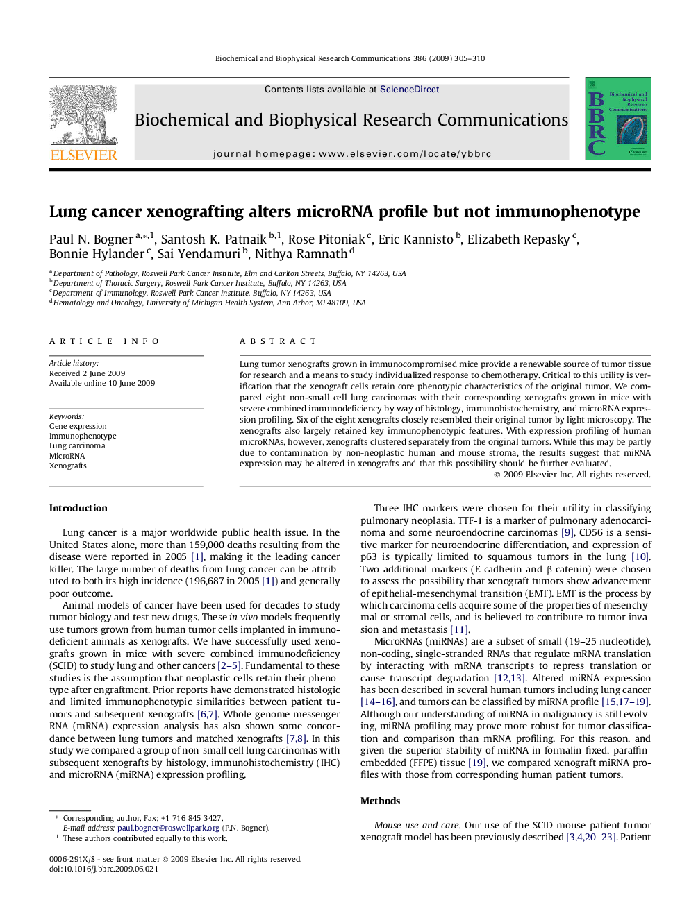 Lung cancer xenografting alters microRNA profile but not immunophenotype