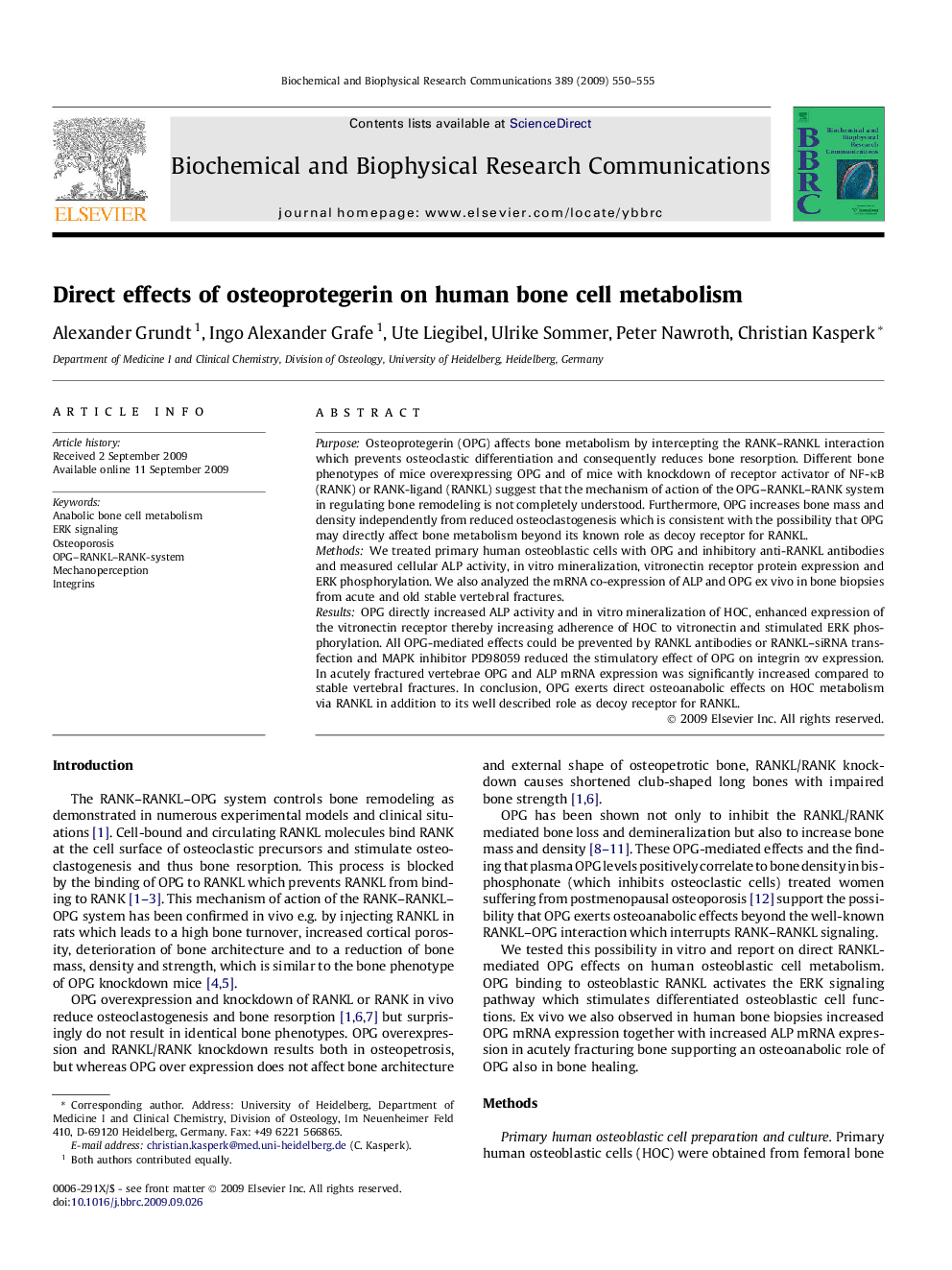 Direct effects of osteoprotegerin on human bone cell metabolism