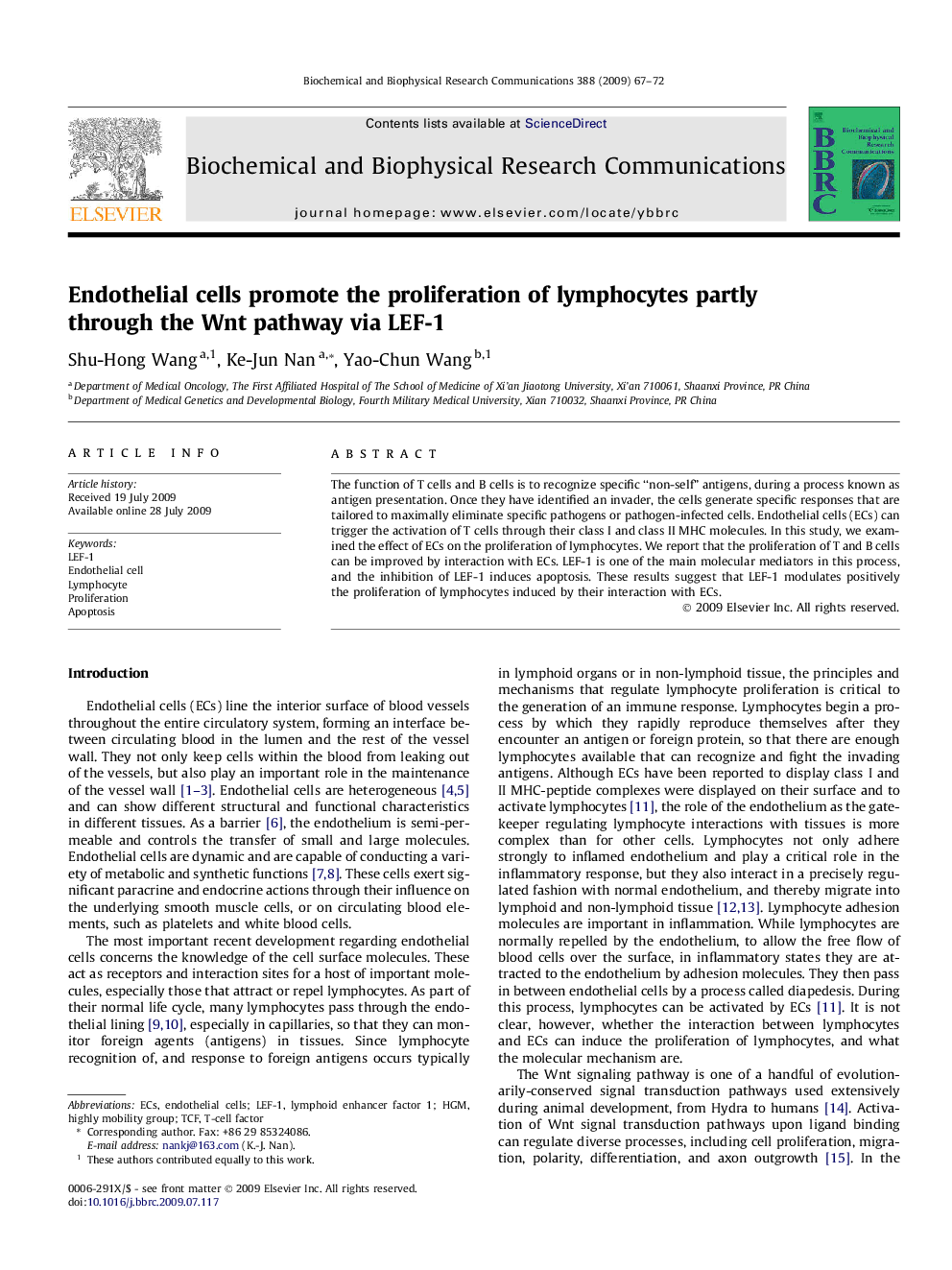 Endothelial cells promote the proliferation of lymphocytes partly through the Wnt pathway via LEF-1