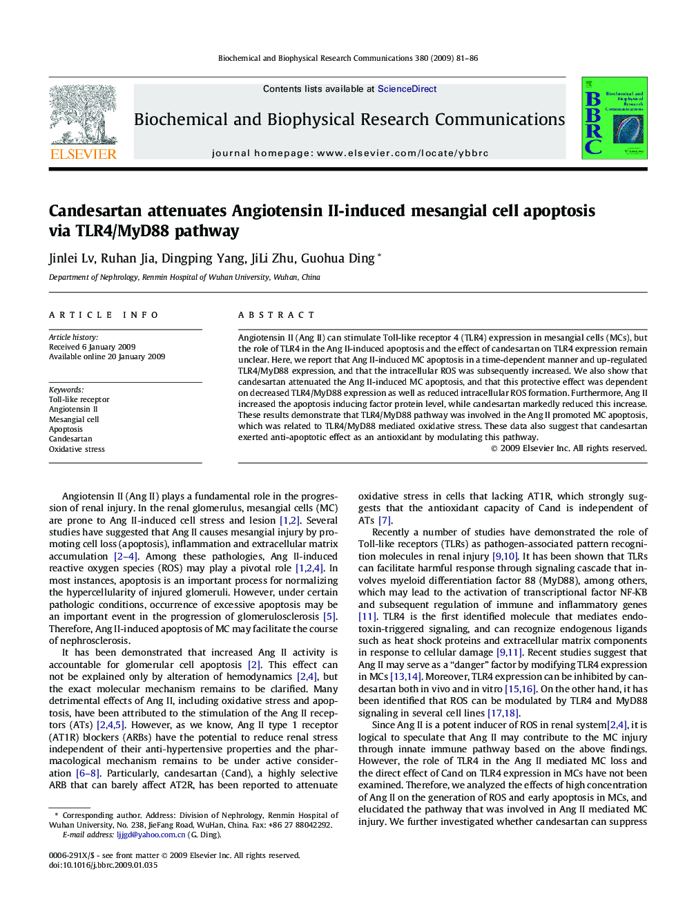 Candesartan attenuates Angiotensin II-induced mesangial cell apoptosis via TLR4/MyD88 pathway