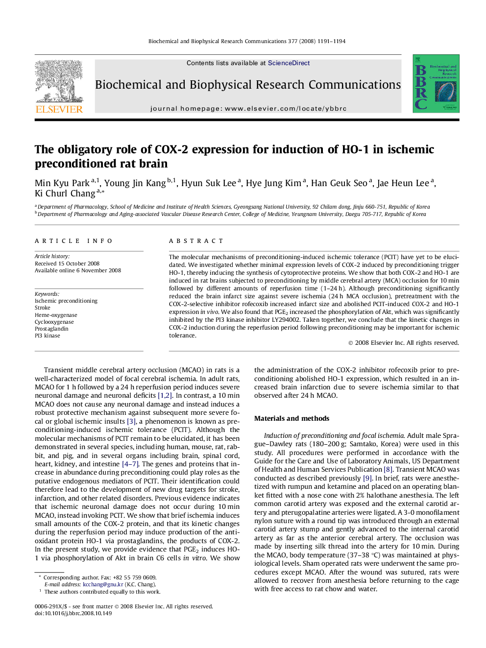 The obligatory role of COX-2 expression for induction of HO-1 in ischemic preconditioned rat brain