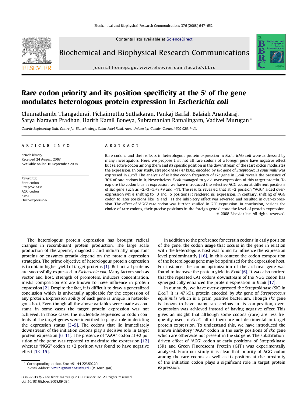 Rare codon priority and its position specificity at the 5′ of the gene modulates heterologous protein expression in Escherichia coli