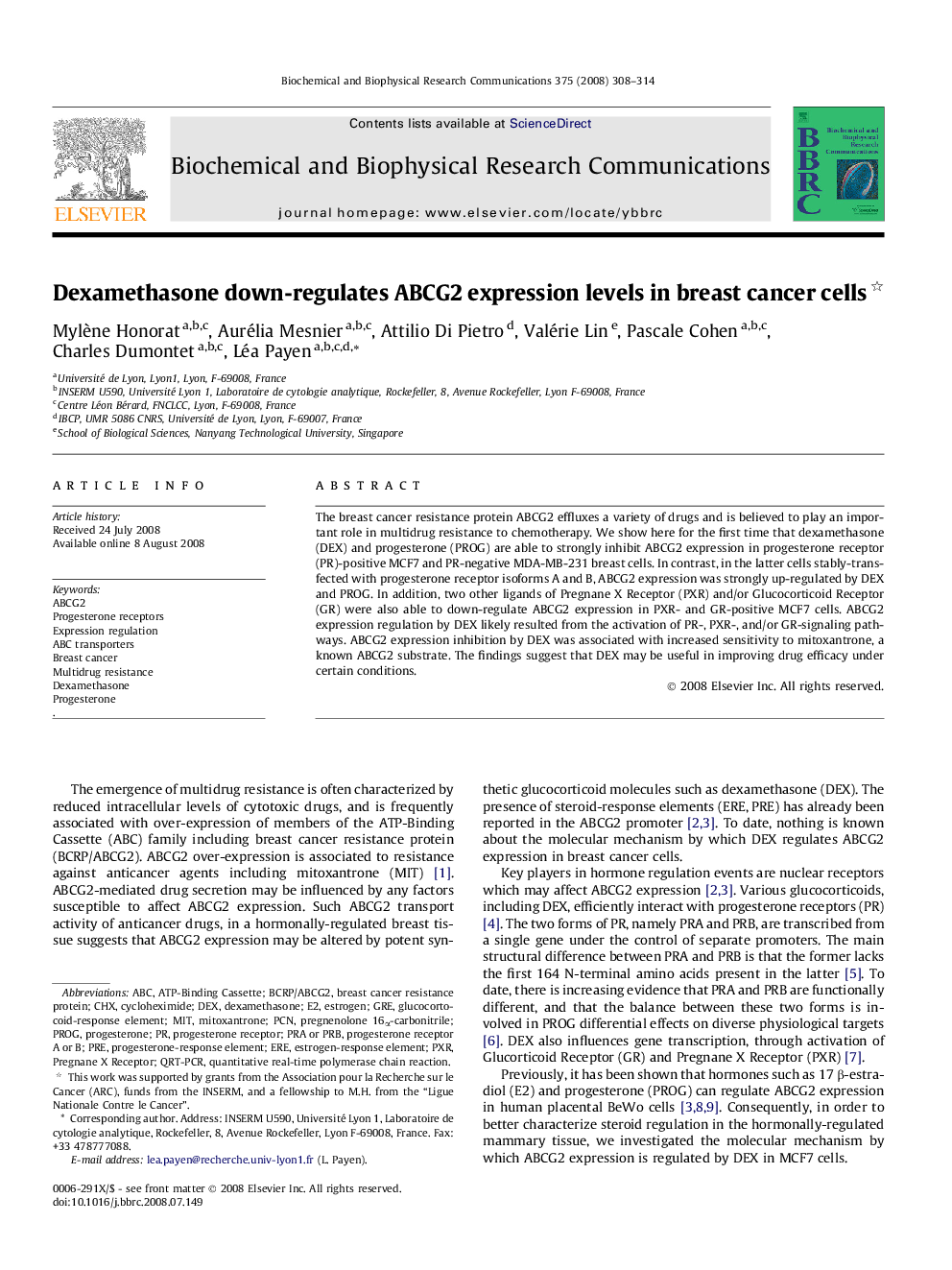 Dexamethasone down-regulates ABCG2 expression levels in breast cancer cells 