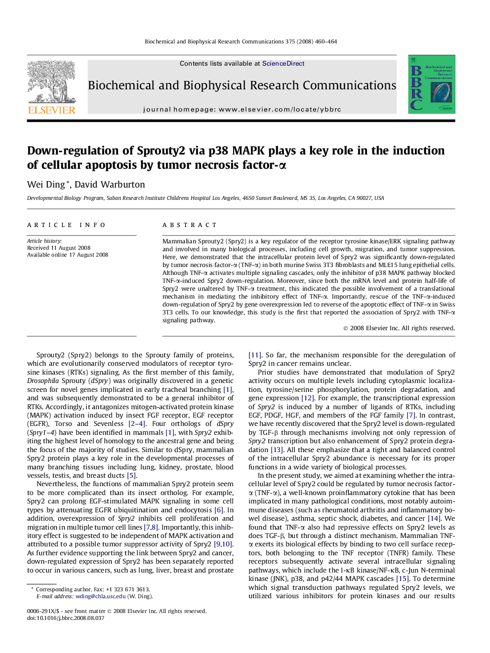 Down-regulation of Sprouty2 via p38 MAPK plays a key role in the induction of cellular apoptosis by tumor necrosis factor-α