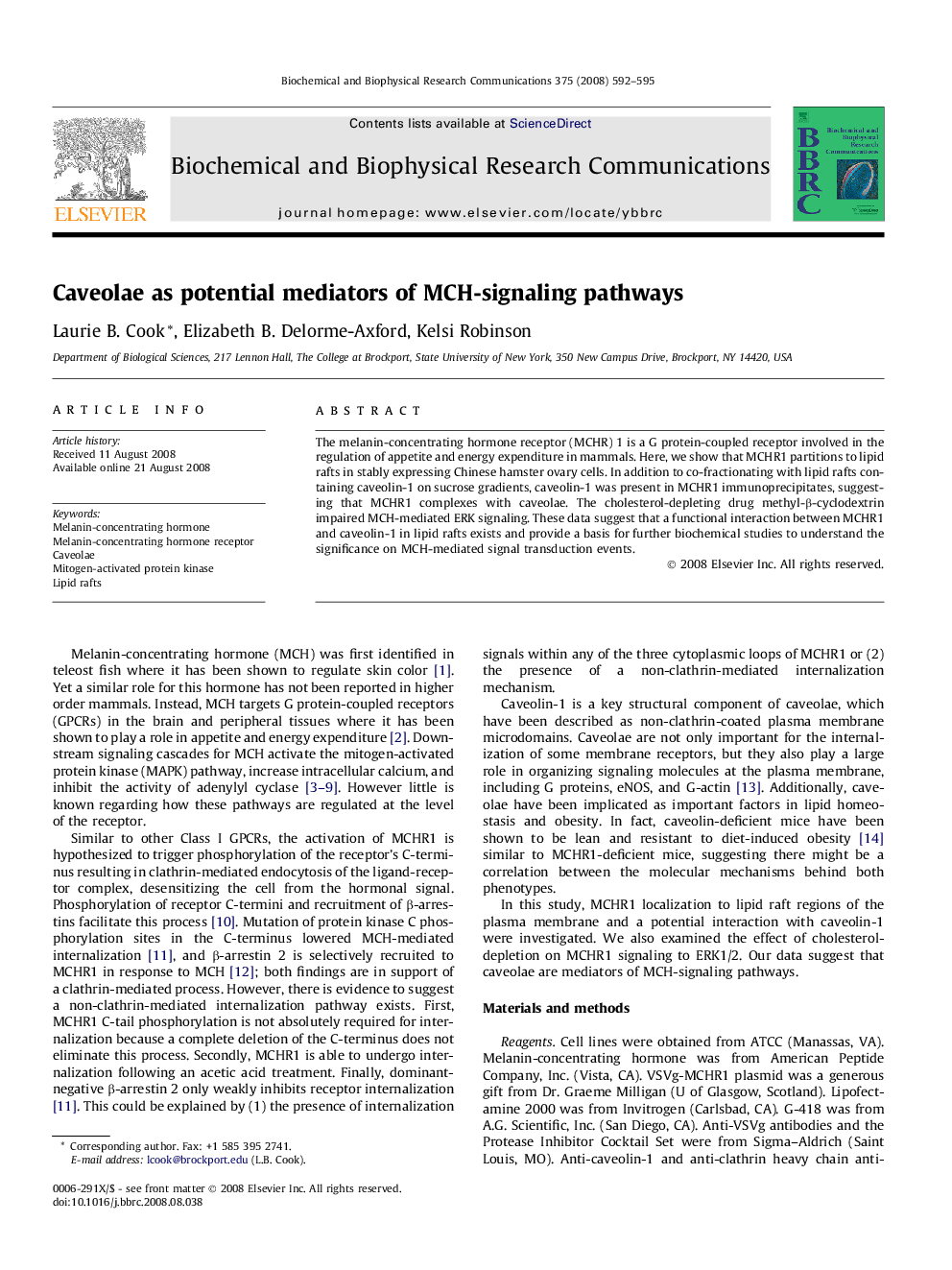 Caveolae as potential mediators of MCH-signaling pathways