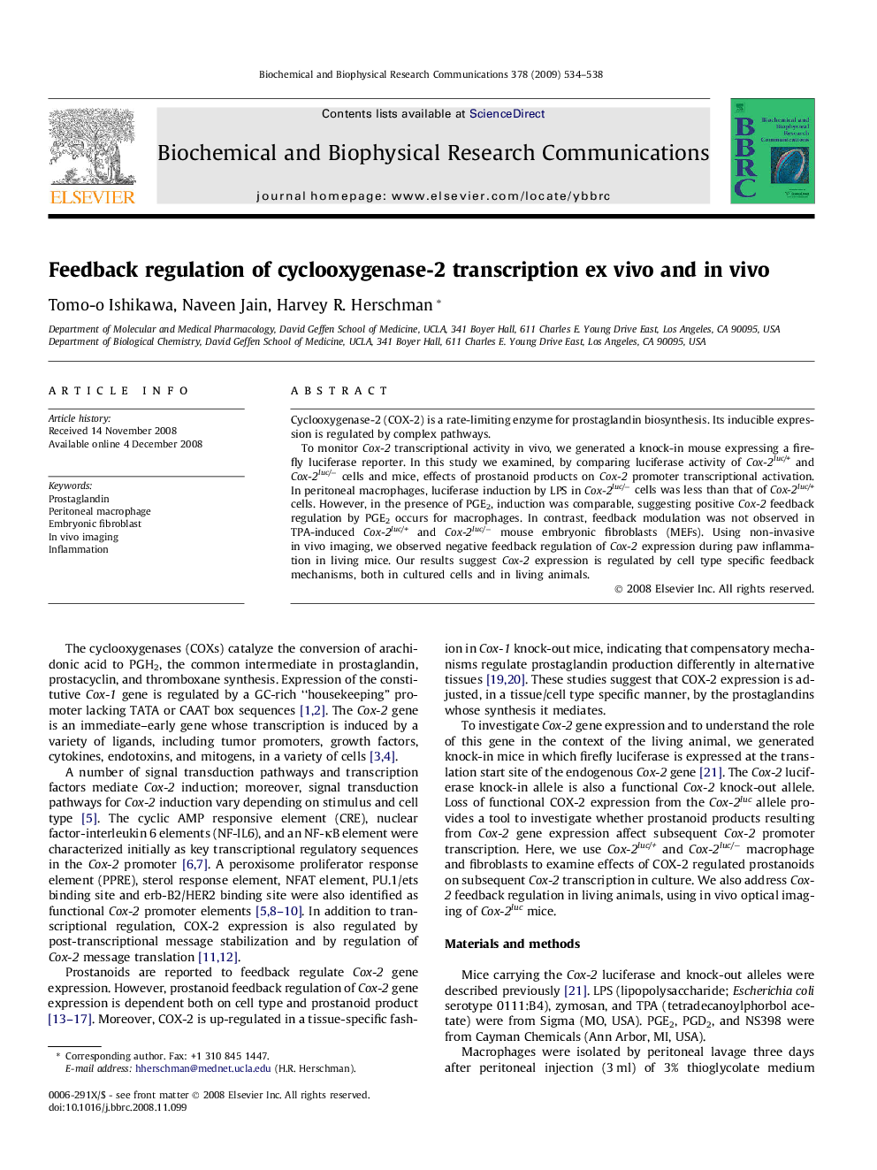 Feedback regulation of cyclooxygenase-2 transcription ex vivo and in vivo