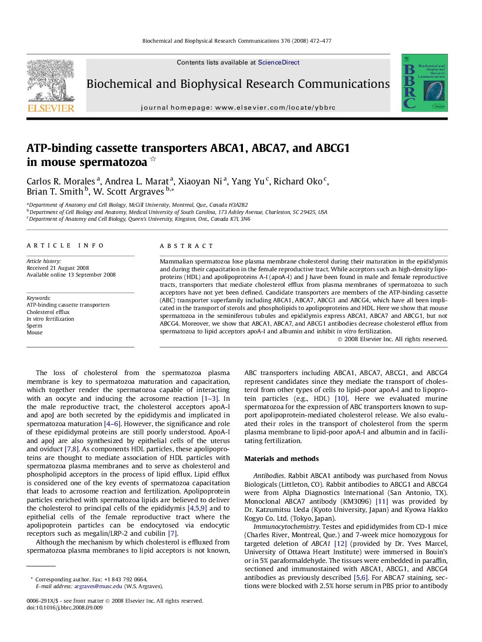 ATP-binding cassette transporters ABCA1, ABCA7, and ABCG1 in mouse spermatozoa 