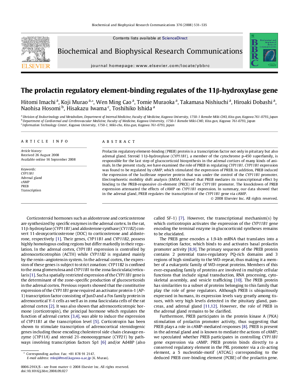 The prolactin regulatory element-binding regulates of the 11β-hydroxylase gene