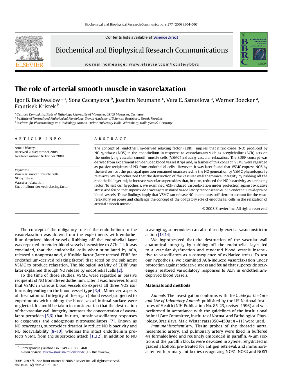 The role of arterial smooth muscle in vasorelaxation