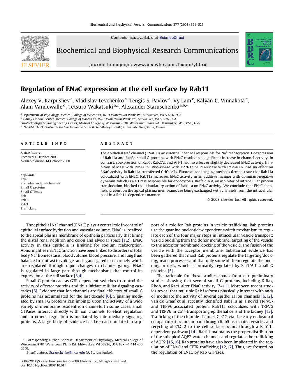 Regulation of ENaC expression at the cell surface by Rab11