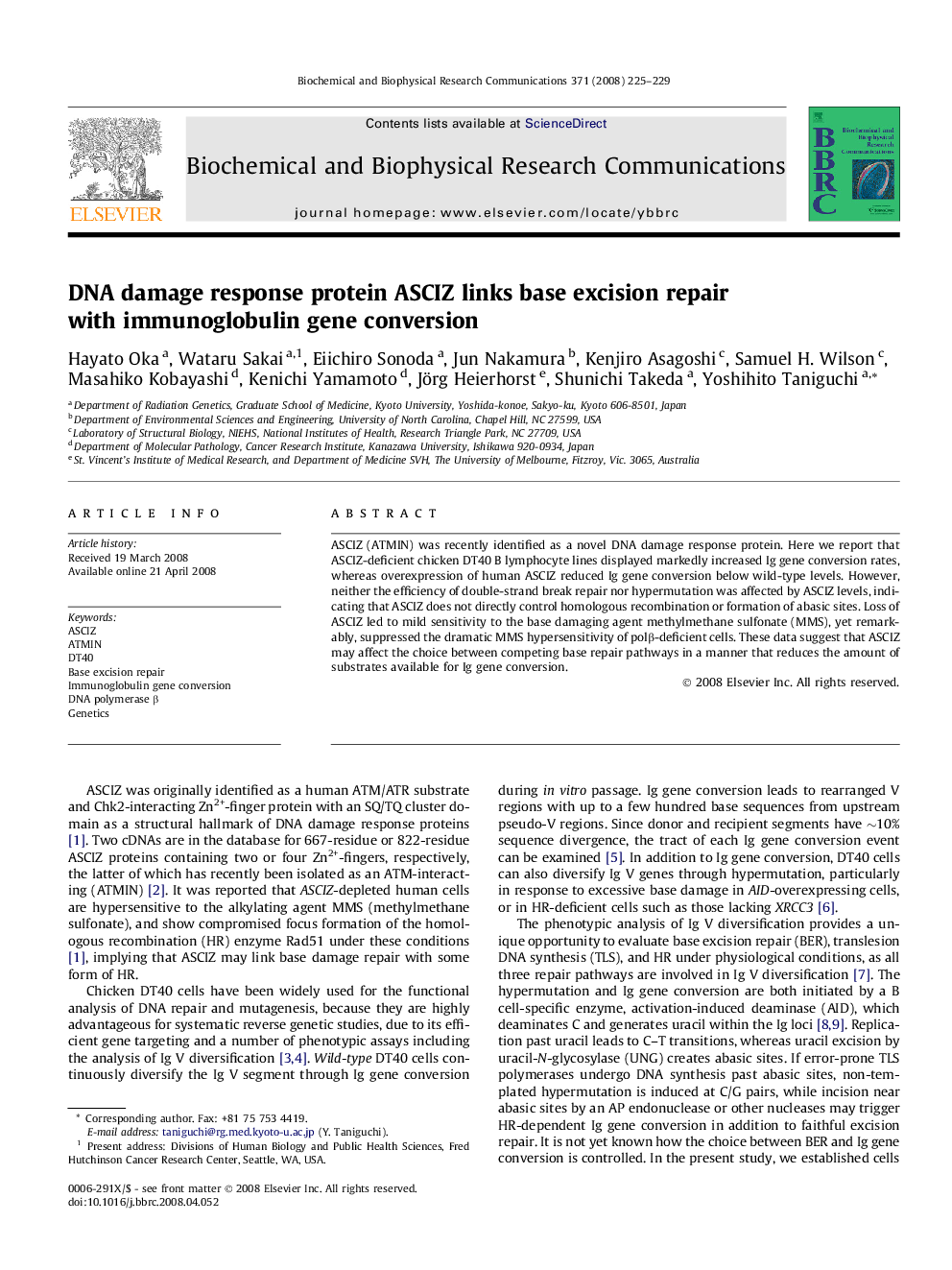 DNA damage response protein ASCIZ links base excision repair with immunoglobulin gene conversion