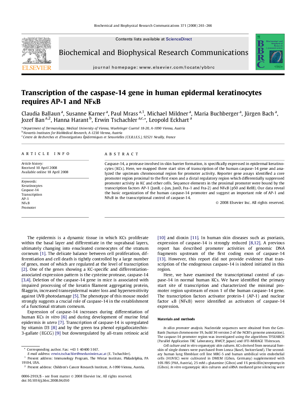 Transcription of the caspase-14 gene in human epidermal keratinocytes requires AP-1 and NFκB