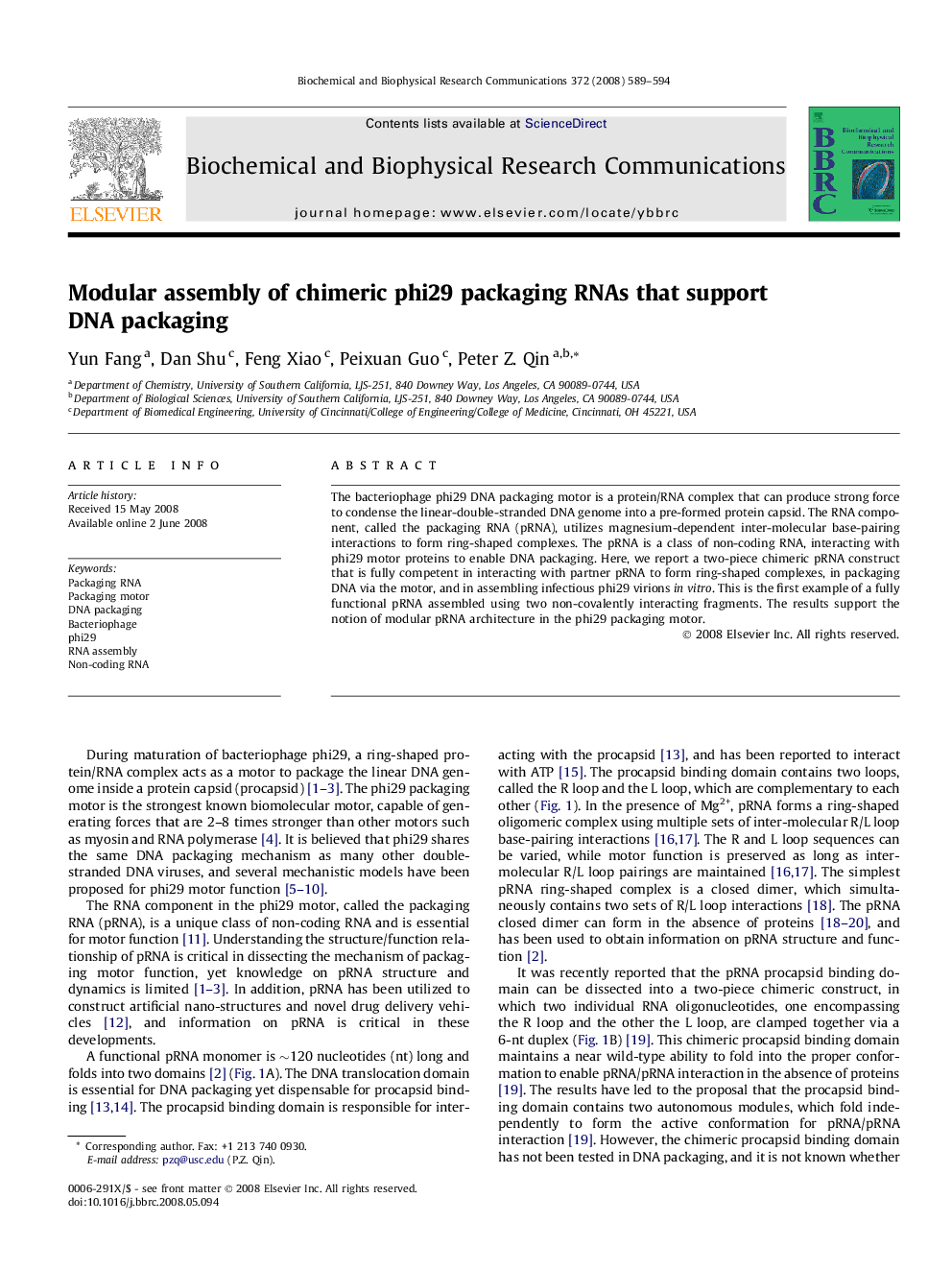 Modular assembly of chimeric phi29 packaging RNAs that support DNA packaging