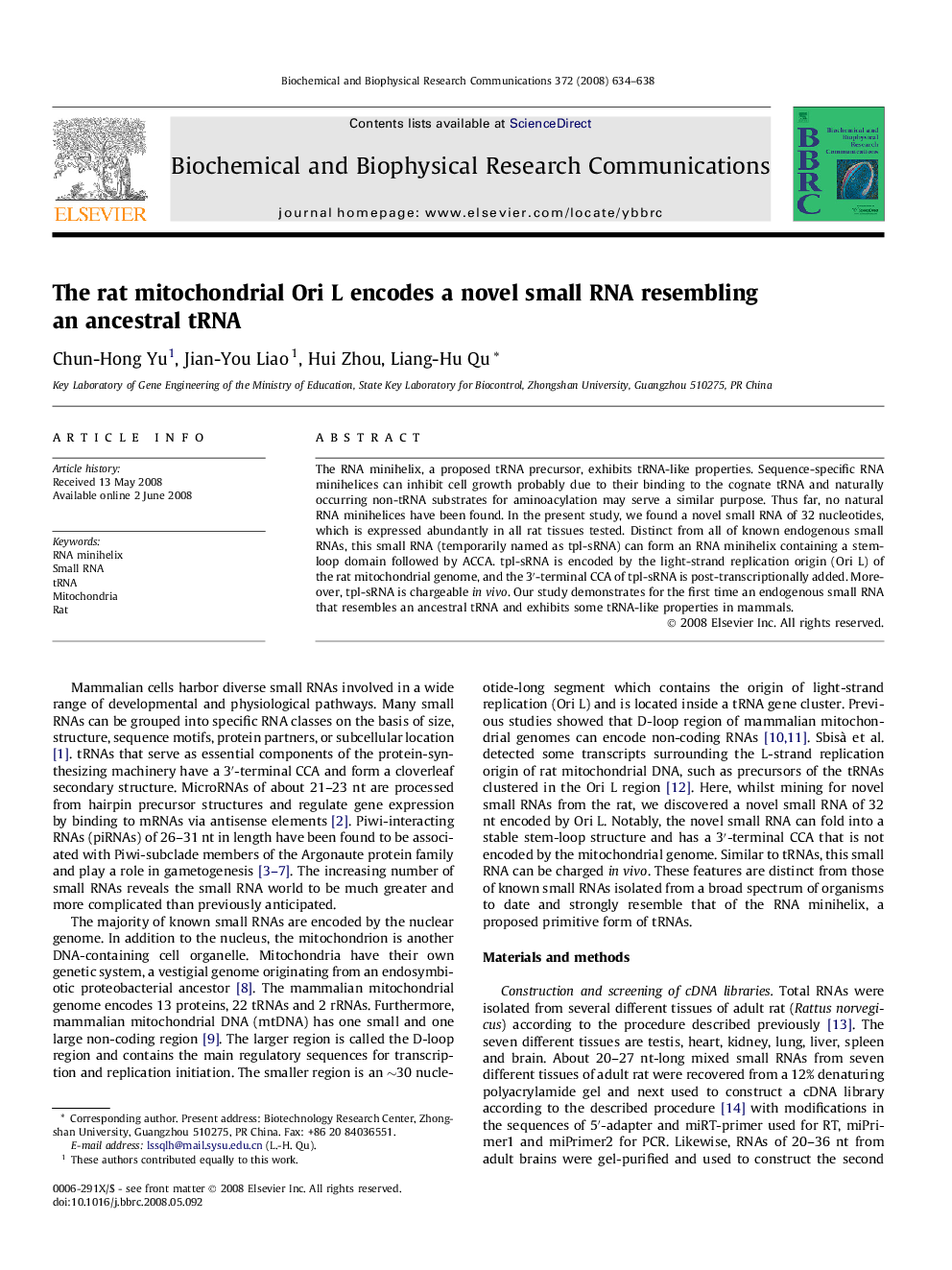 The rat mitochondrial Ori L encodes a novel small RNA resembling an ancestral tRNA