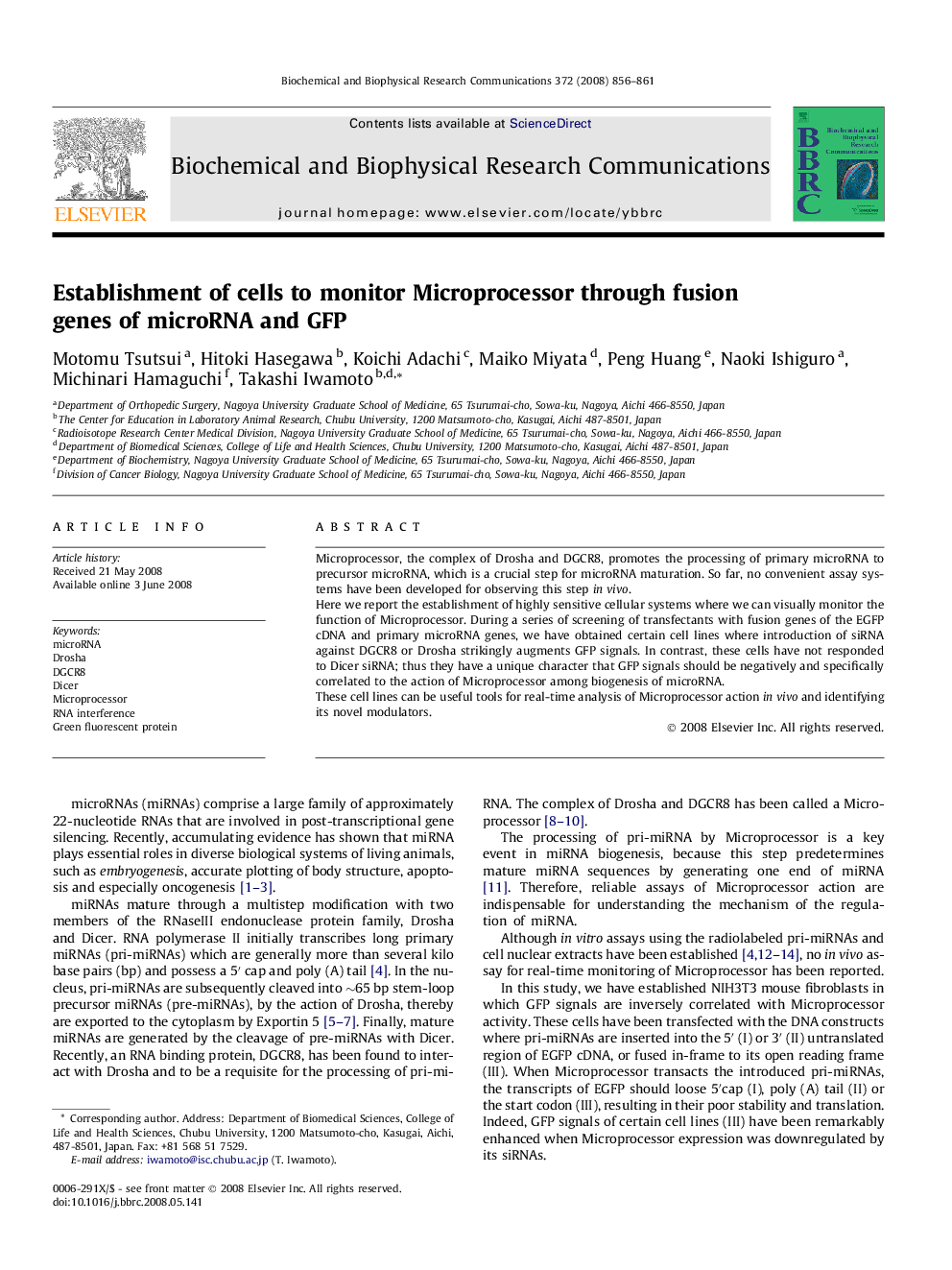 Establishment of cells to monitor Microprocessor through fusion genes of microRNA and GFP