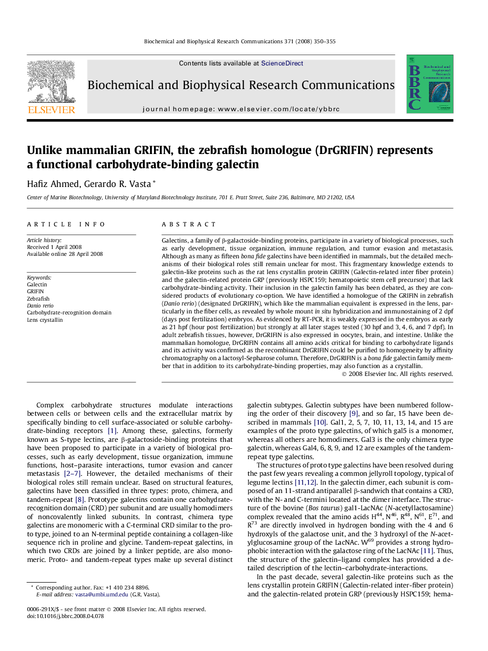 Unlike mammalian GRIFIN, the zebrafish homologue (DrGRIFIN) represents a functional carbohydrate-binding galectin